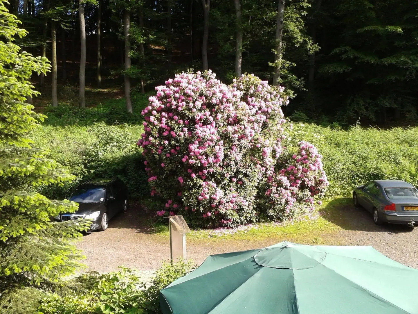 Waldhotel Porta Westfalica garni