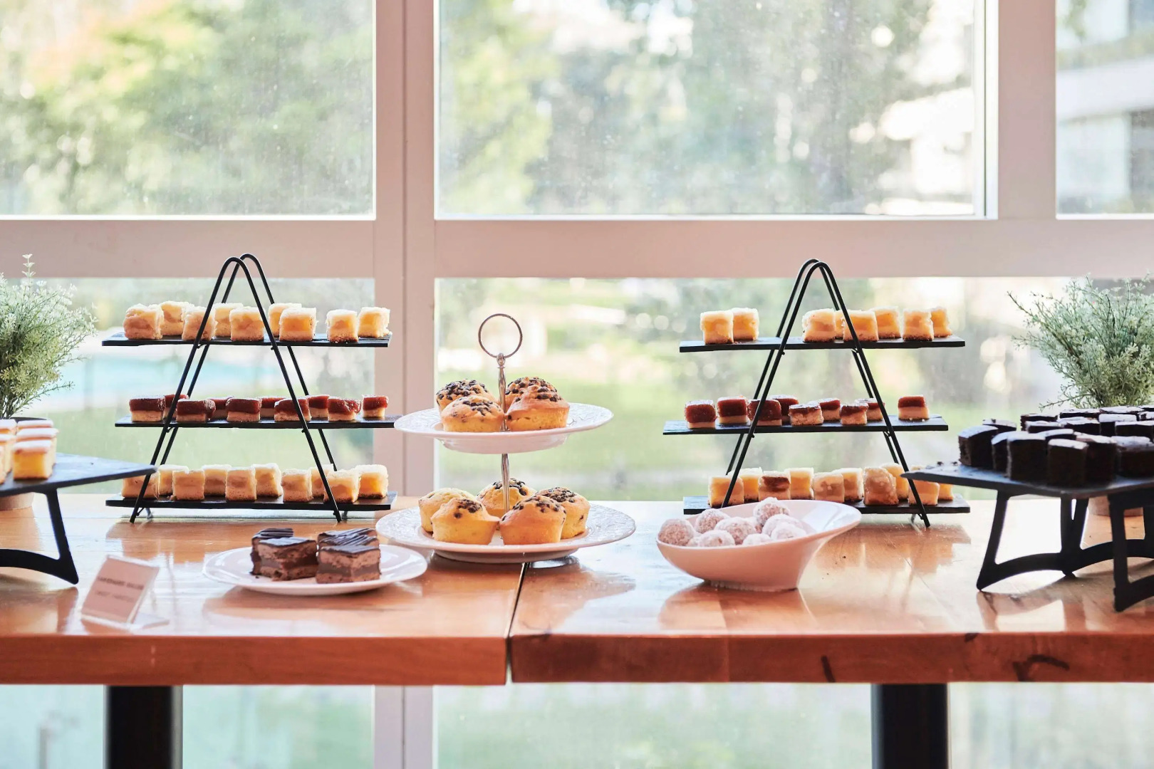 Dazzler by Wyndham Rosario