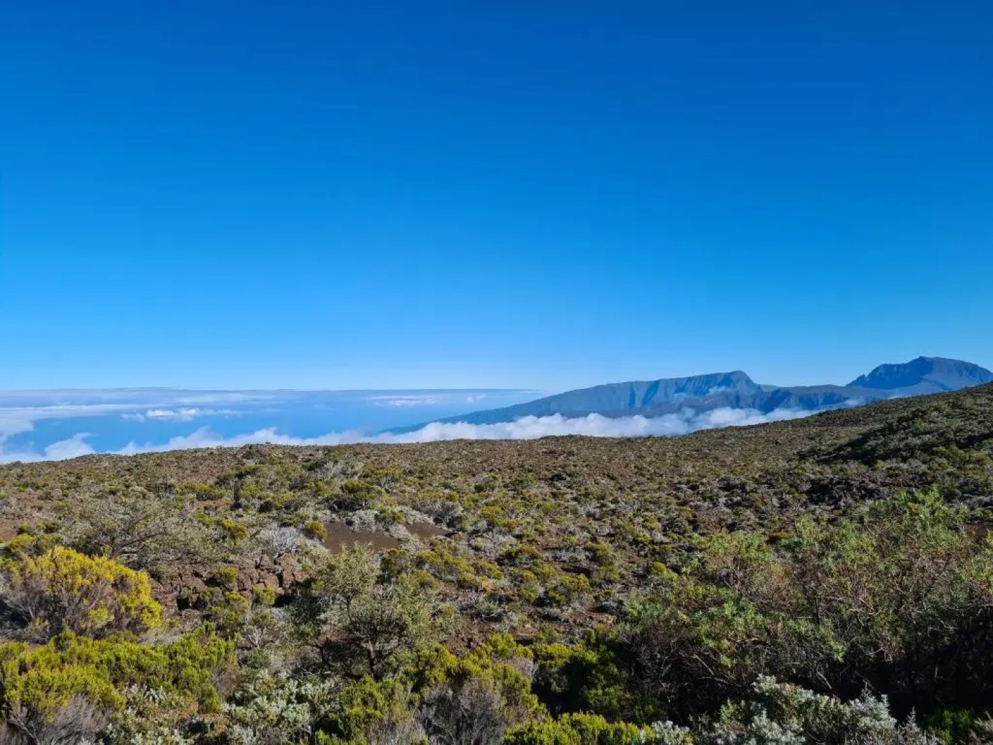 Chambres Et Tables D'Hote Du Voyageur