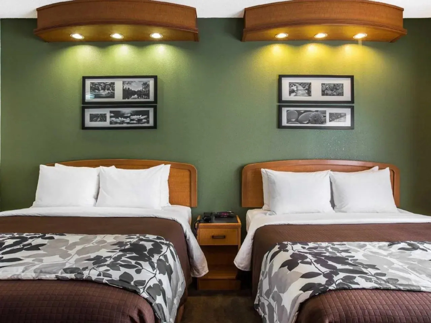 Sleep Inn And Suites Albemarle