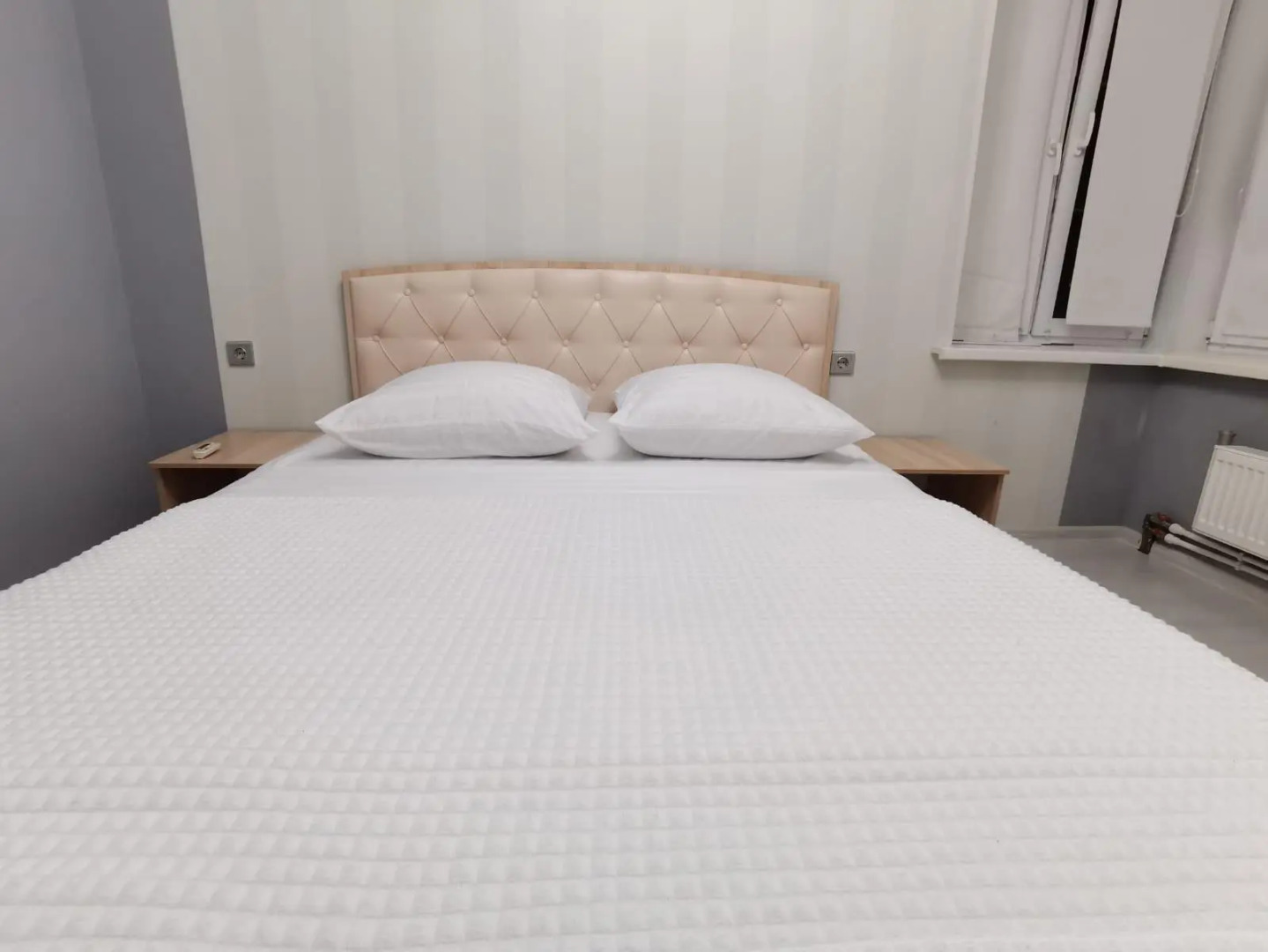 ZNS Rent (ЗНС Рент) на улице Аркадия Шипунова 42