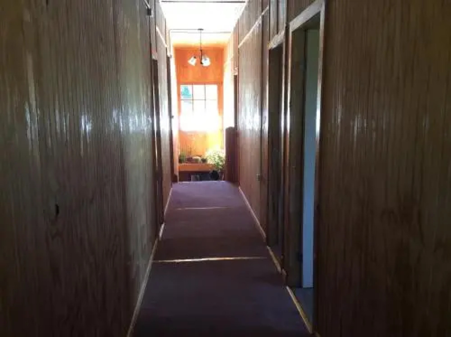 Los Mañíos Del Queulat