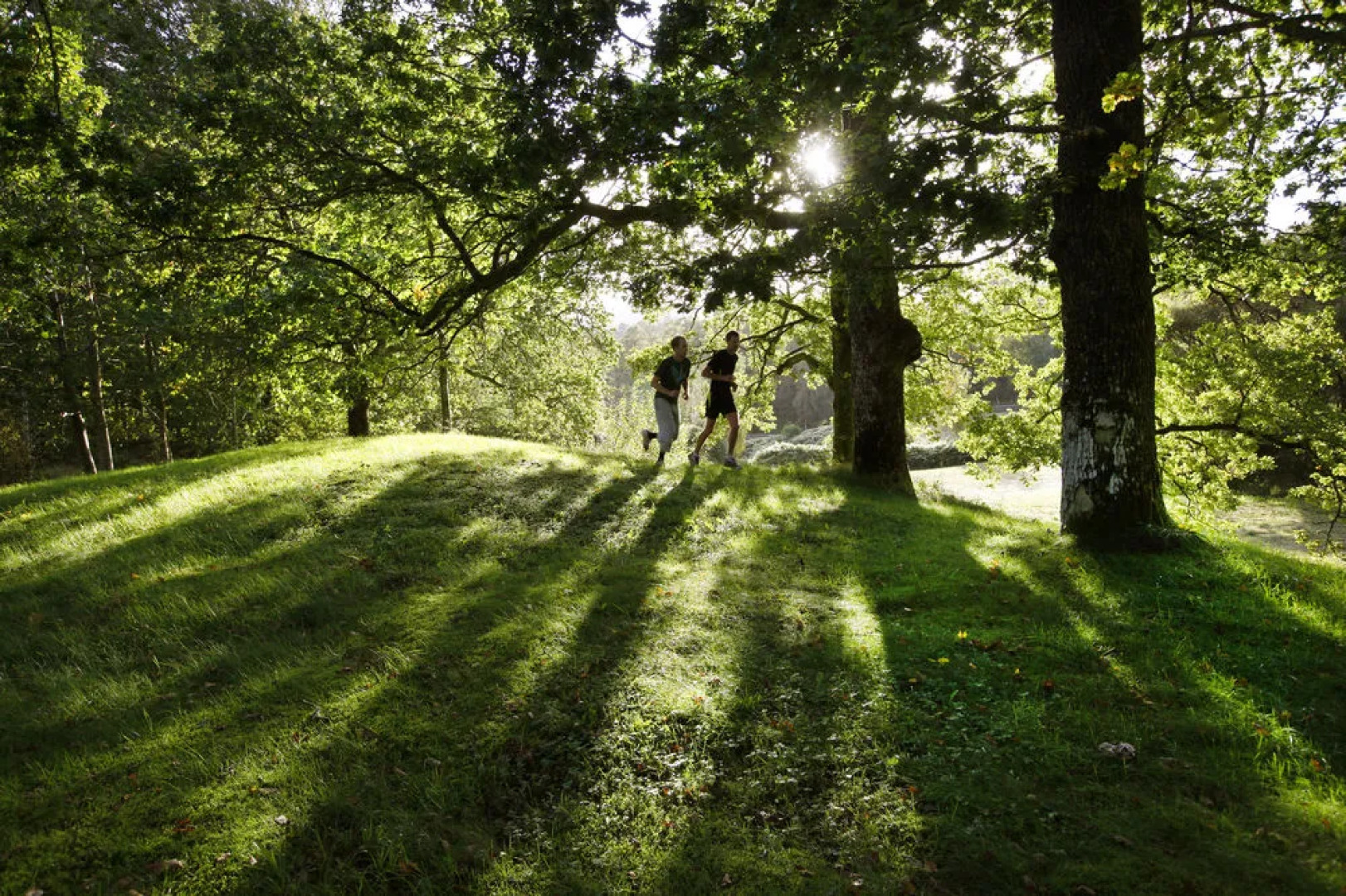 Bjørnefjorden Gjestetun