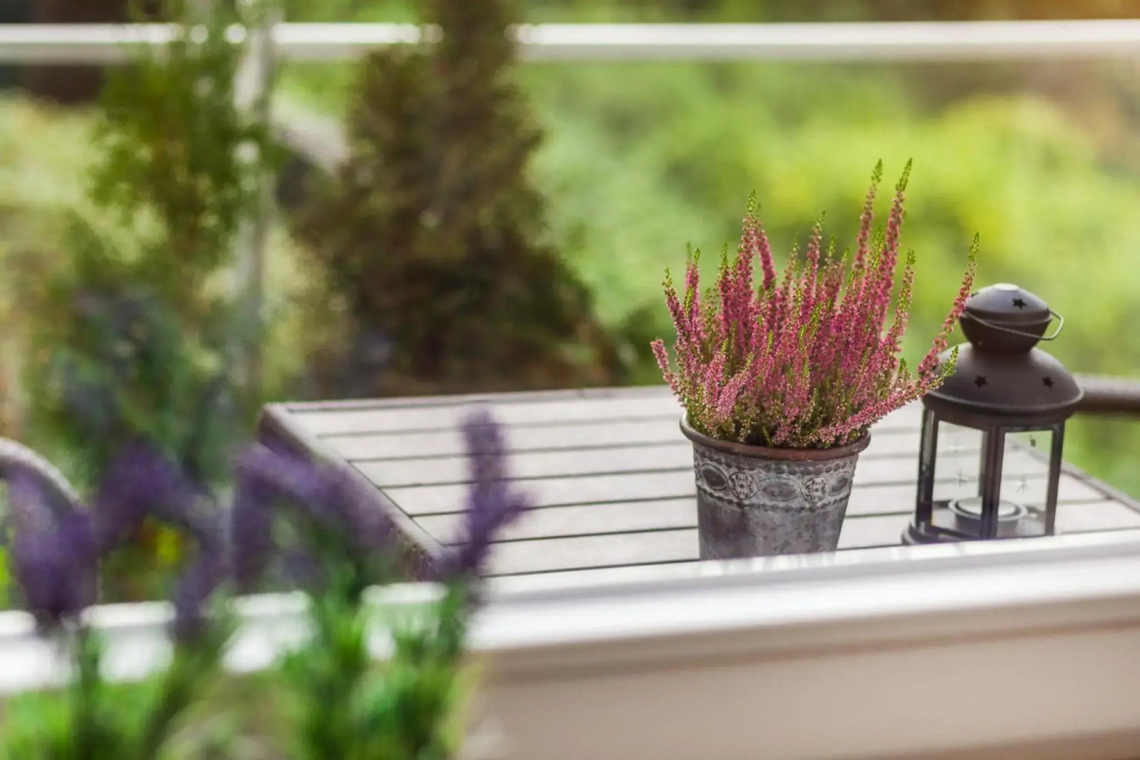 Apartamenty Black&White - Silver House