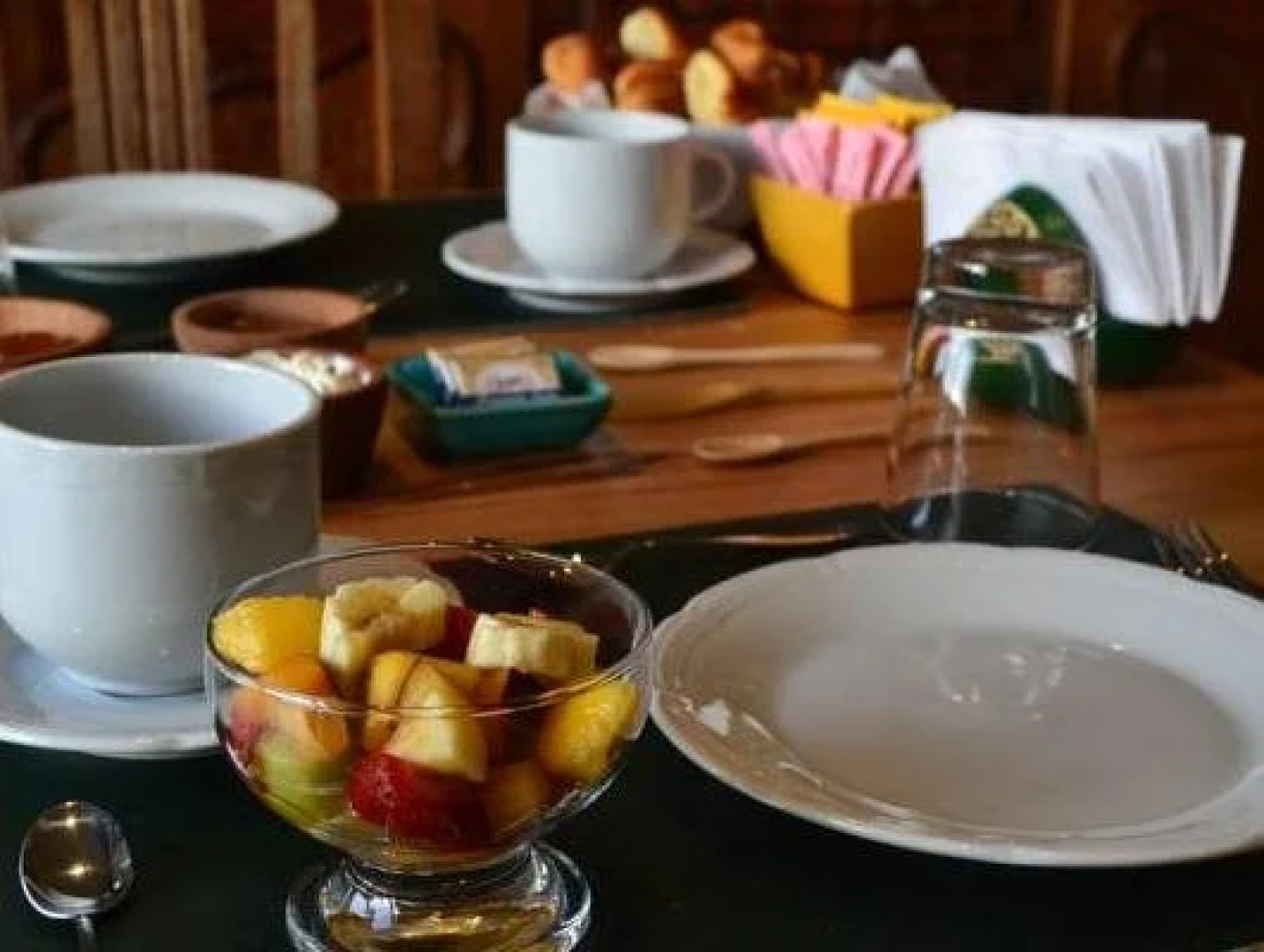 MadreTierra Patagonia