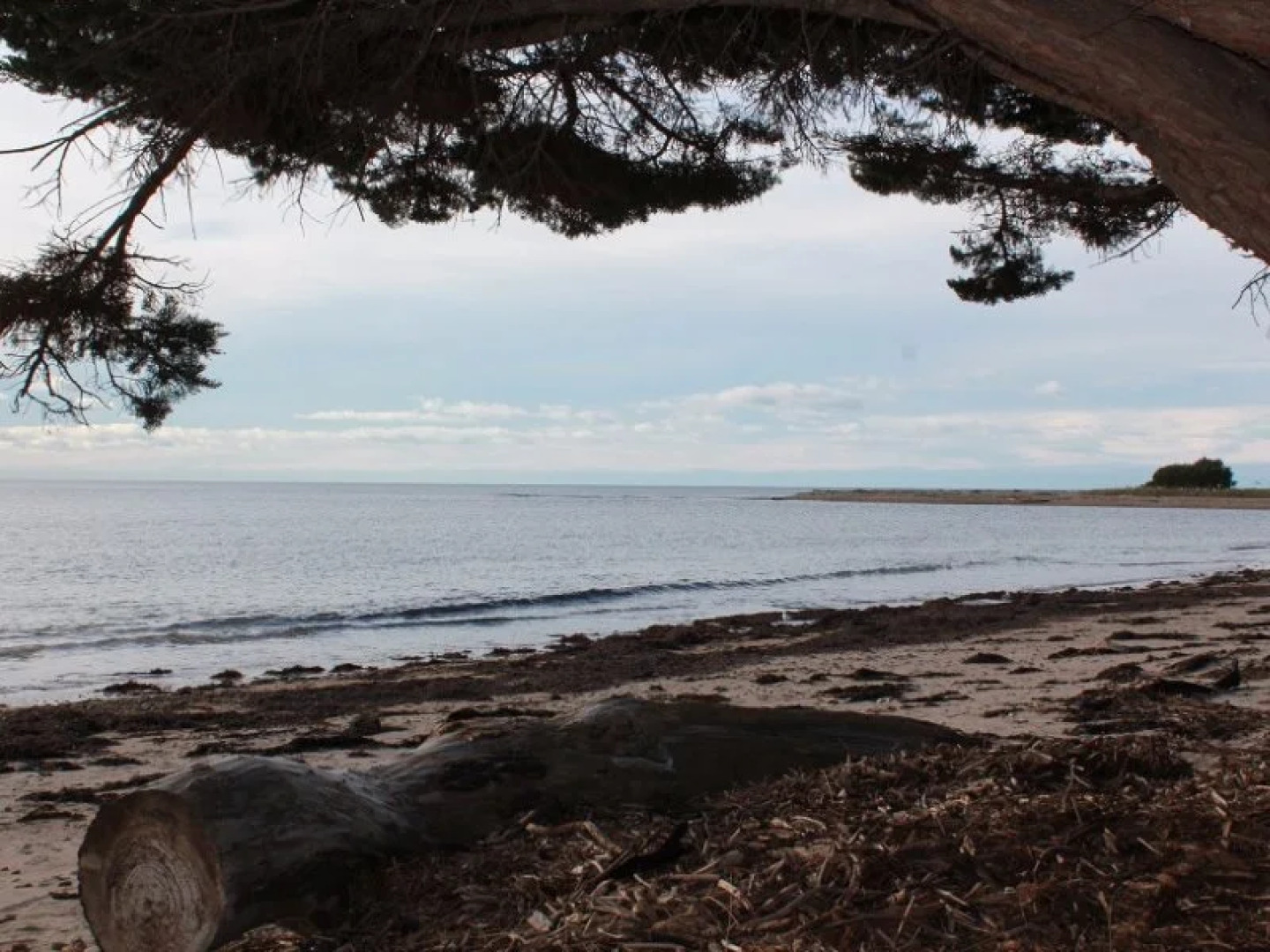 Abel Tasman Caravan Park