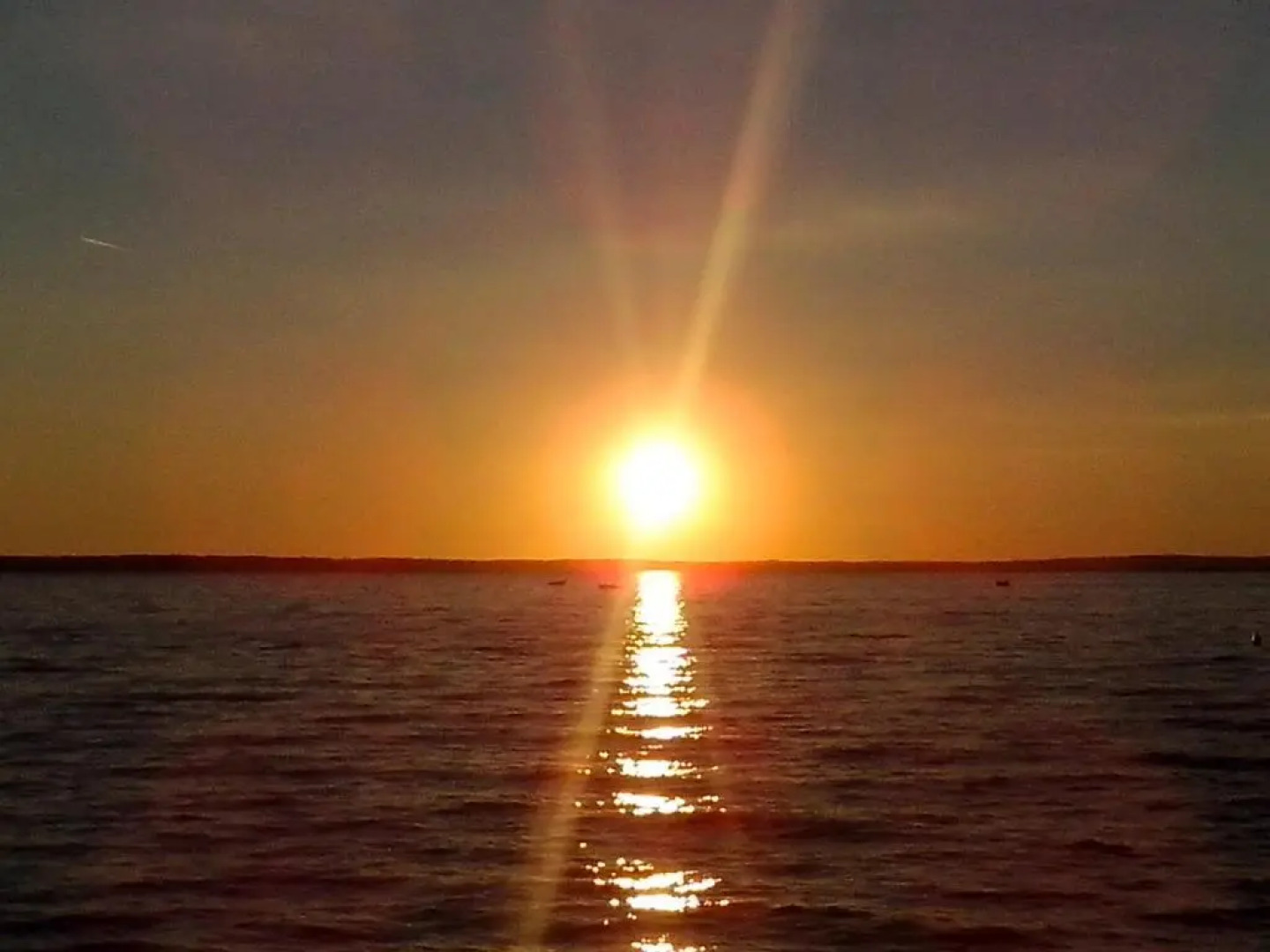 Apartments Viktorija