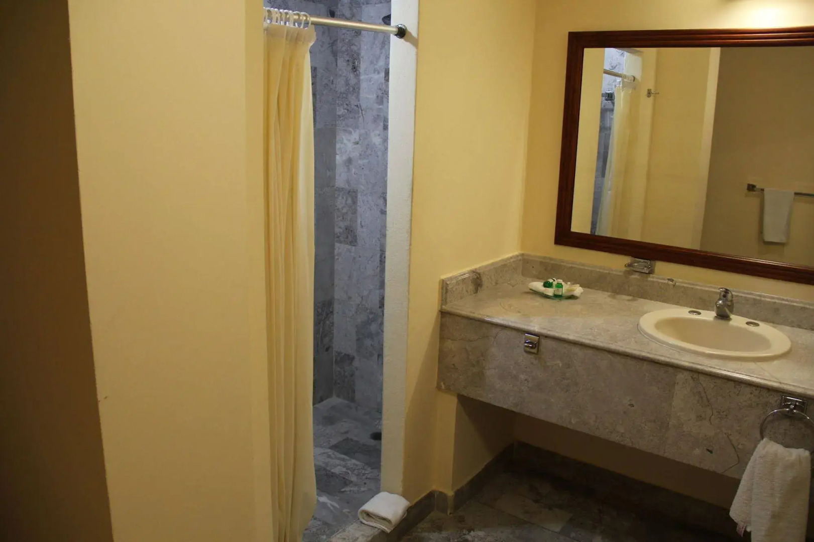 Hotel Tehuacan Plaza