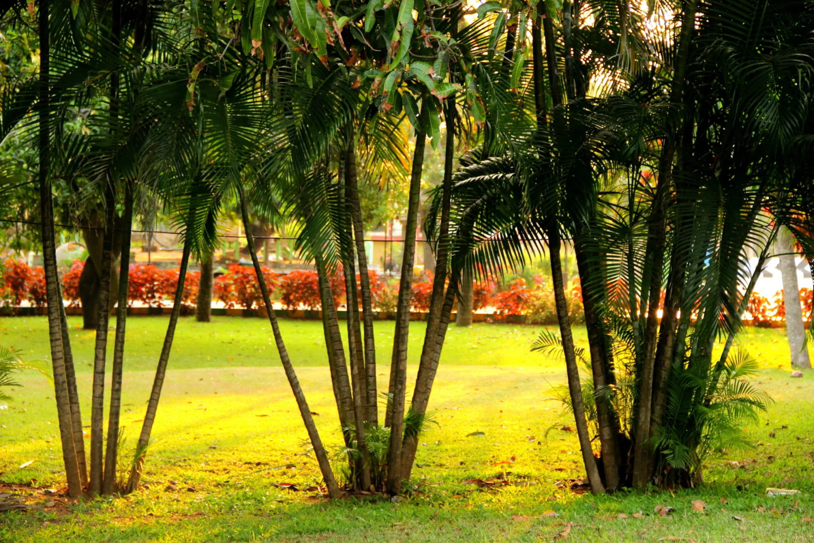 VGP Golden Beach Resort