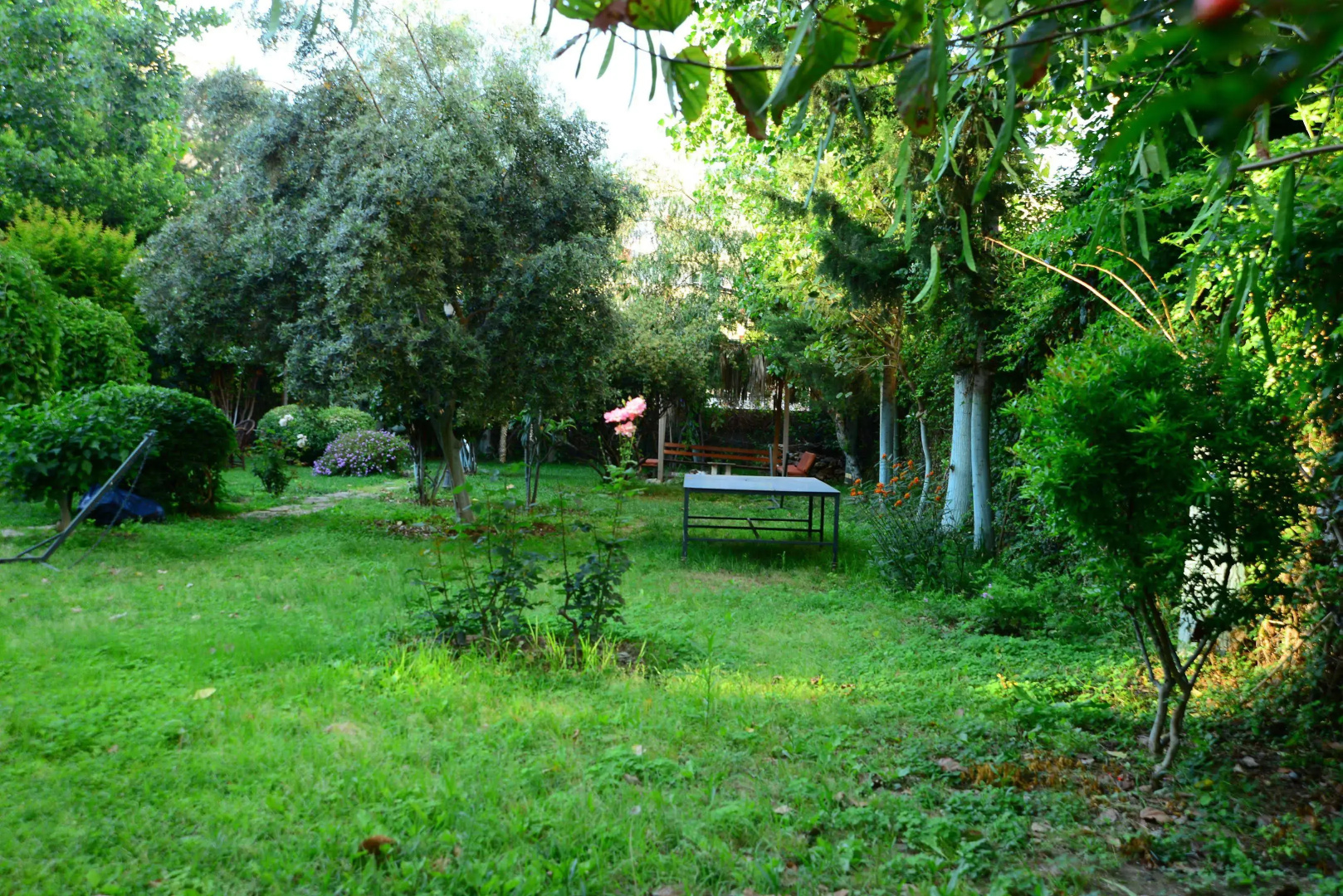 Sevkibey Hotel