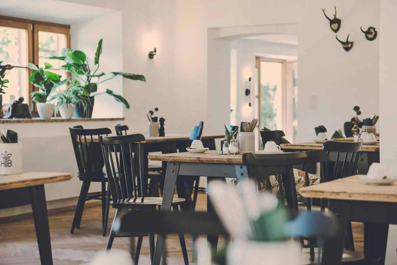 Der Lederer Hof - Boutique Apartments