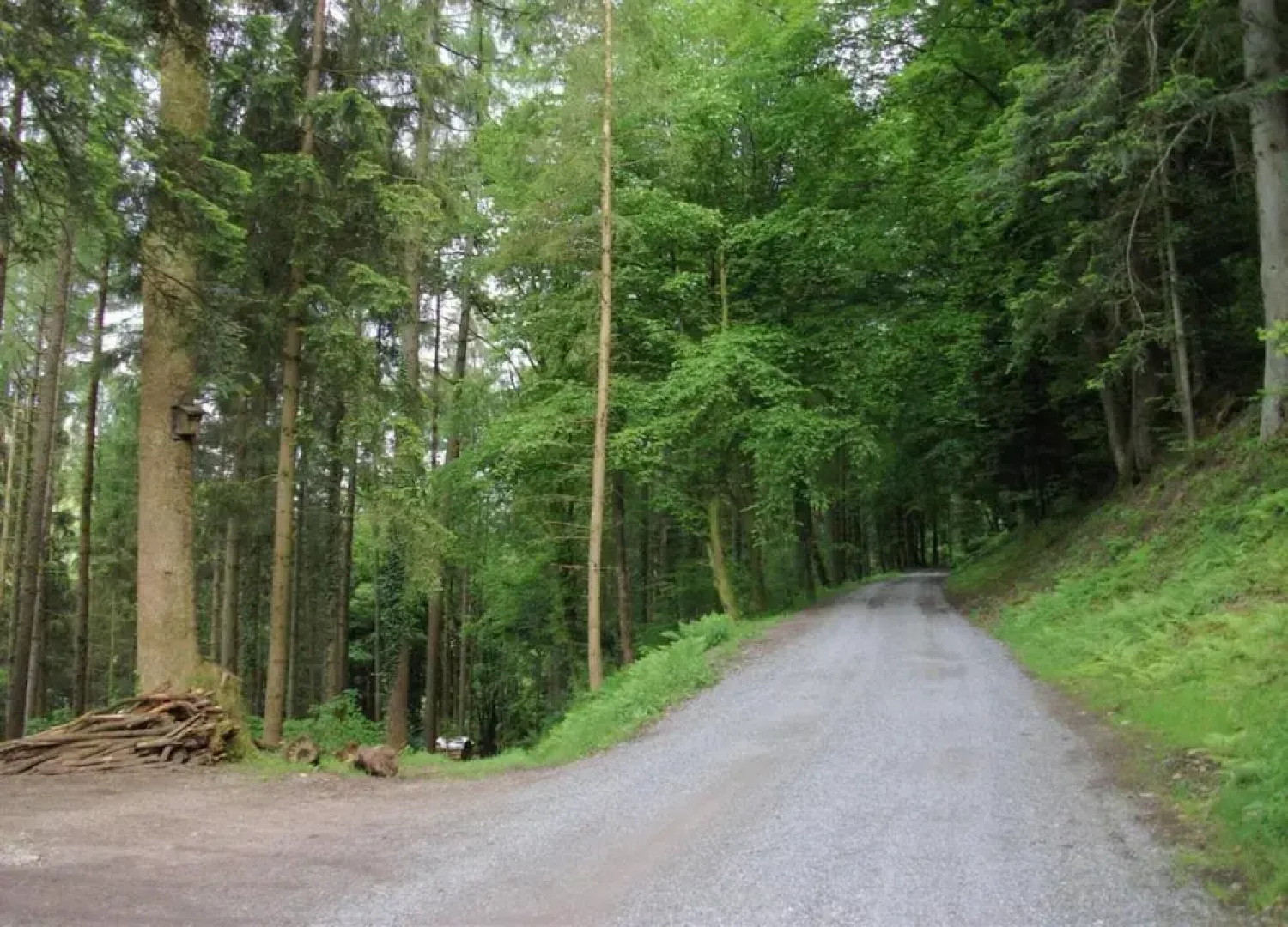 Cosy Farmhouse Apartment at the Edge of the Forest