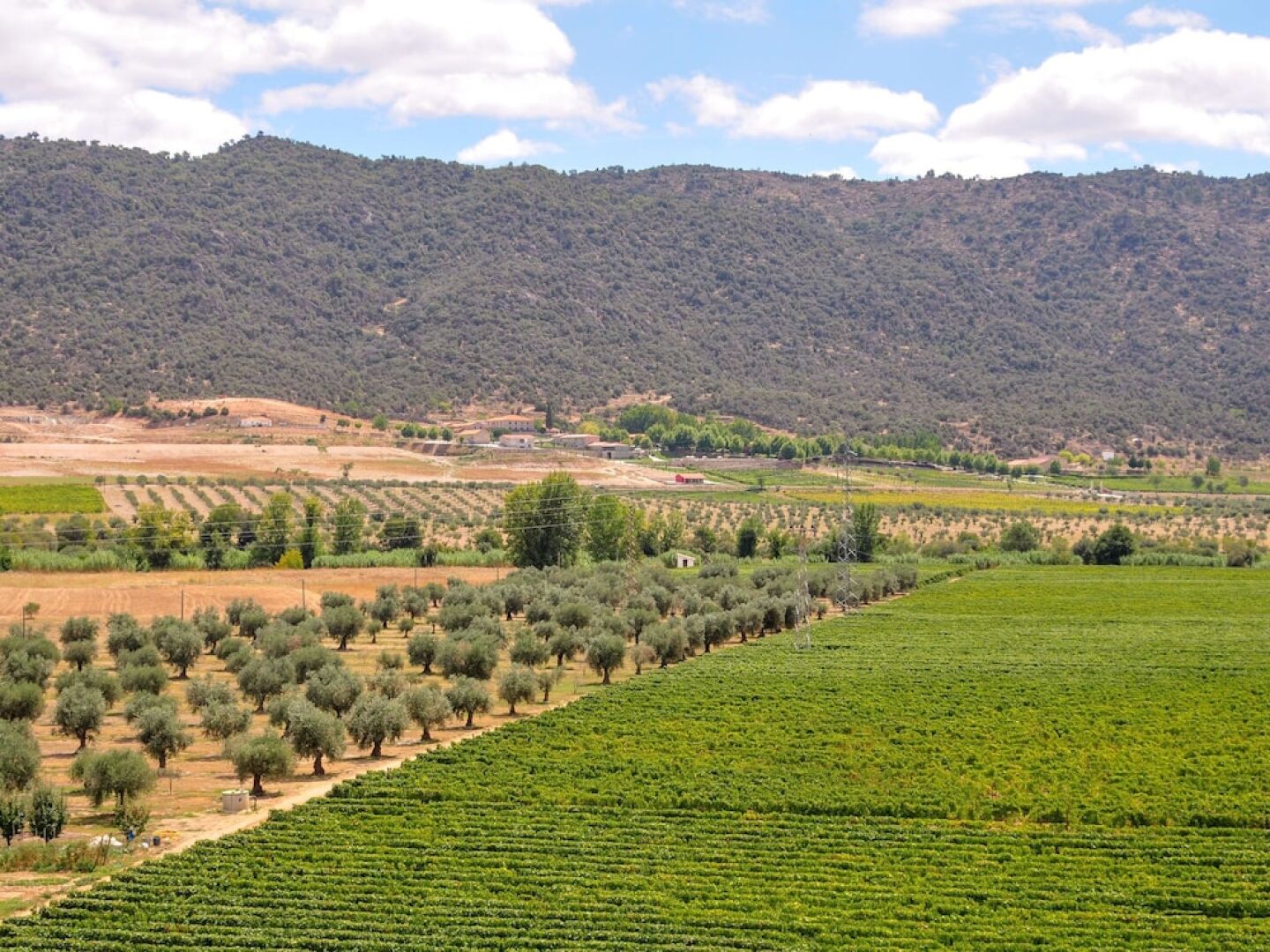 Semi-detached Holiday Home on an Estate With a Swimming Pool