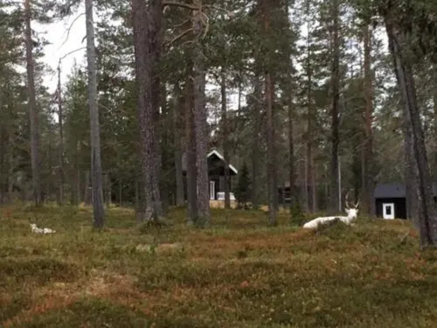 Ylläs Suistotie Cottage