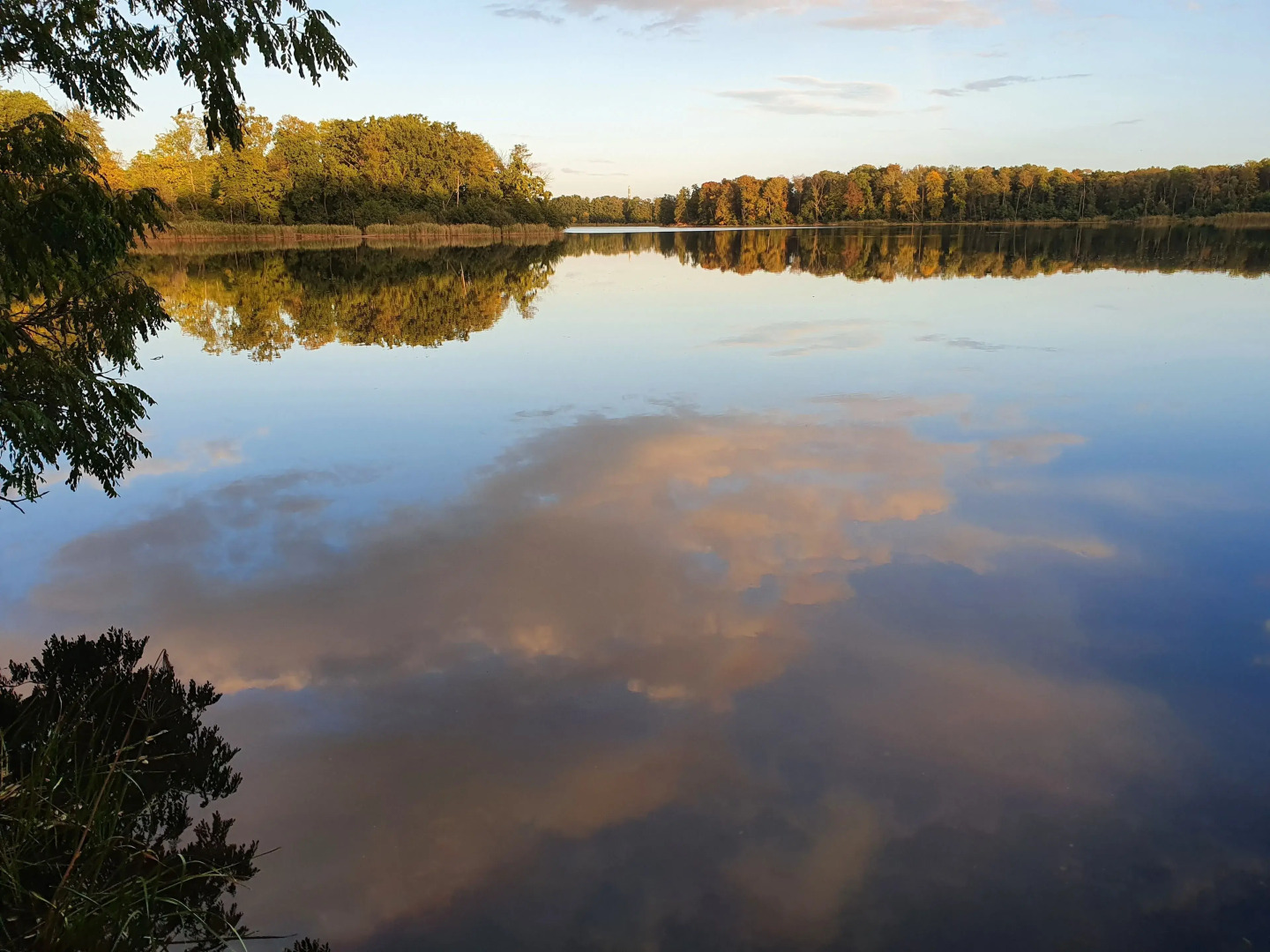 Hotel Zum Rittmeister