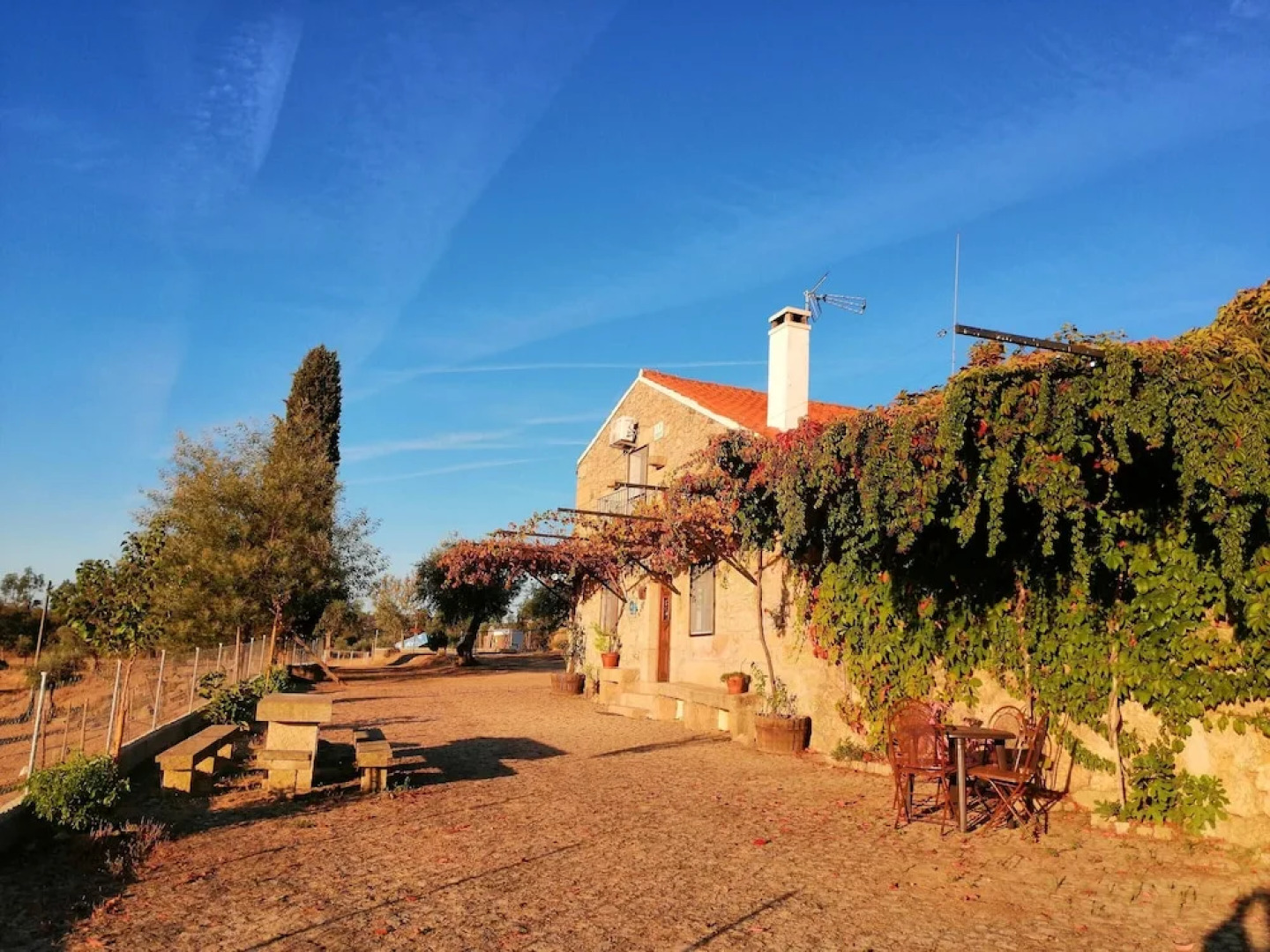 Villa With 4 Bedrooms in Castelo Branco, With Enclosed Garden and Wifi