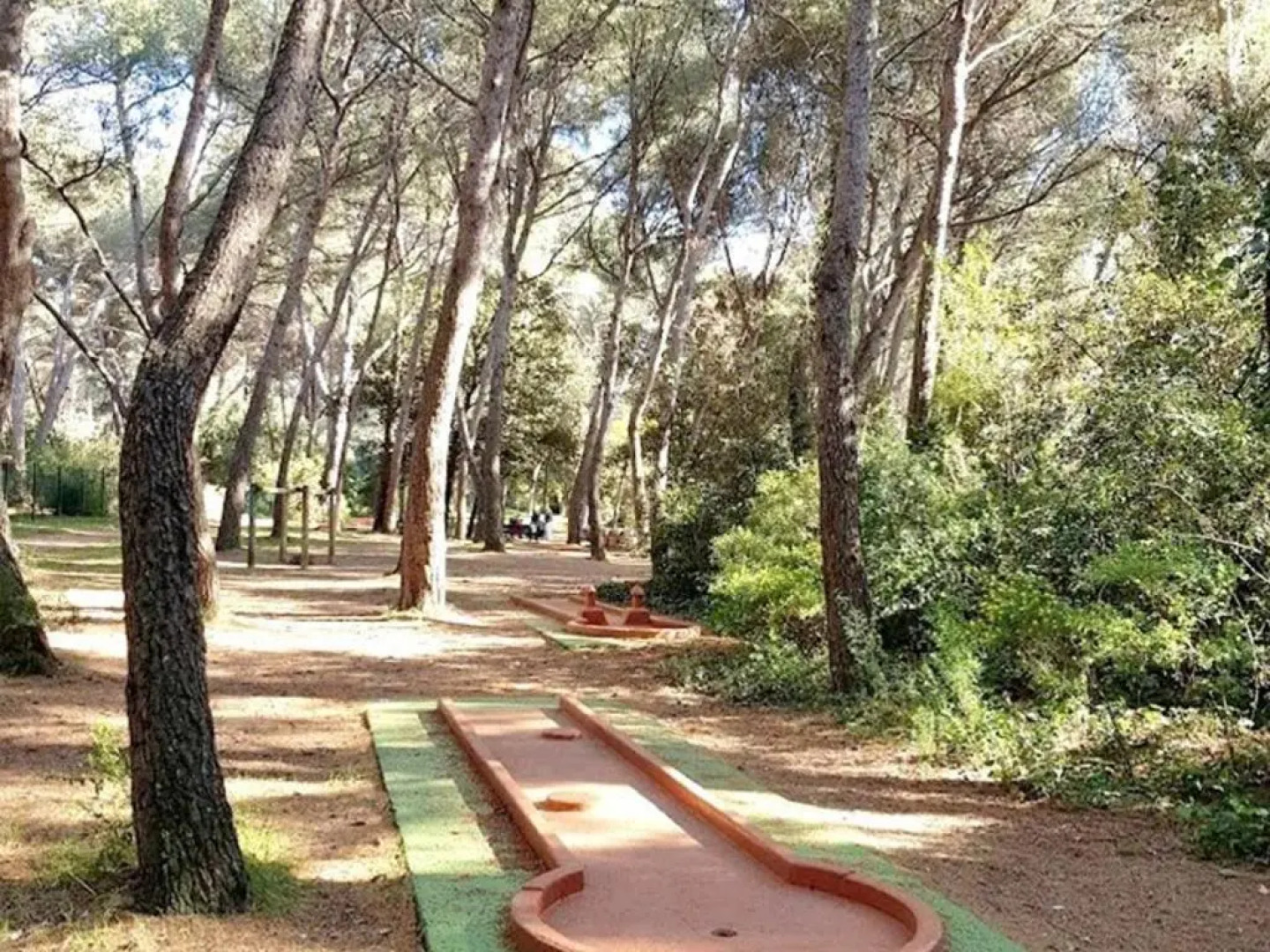 Appartement Six-Fours-les-Plages, 2 pièces, 4 personnes - FR-1-316-157