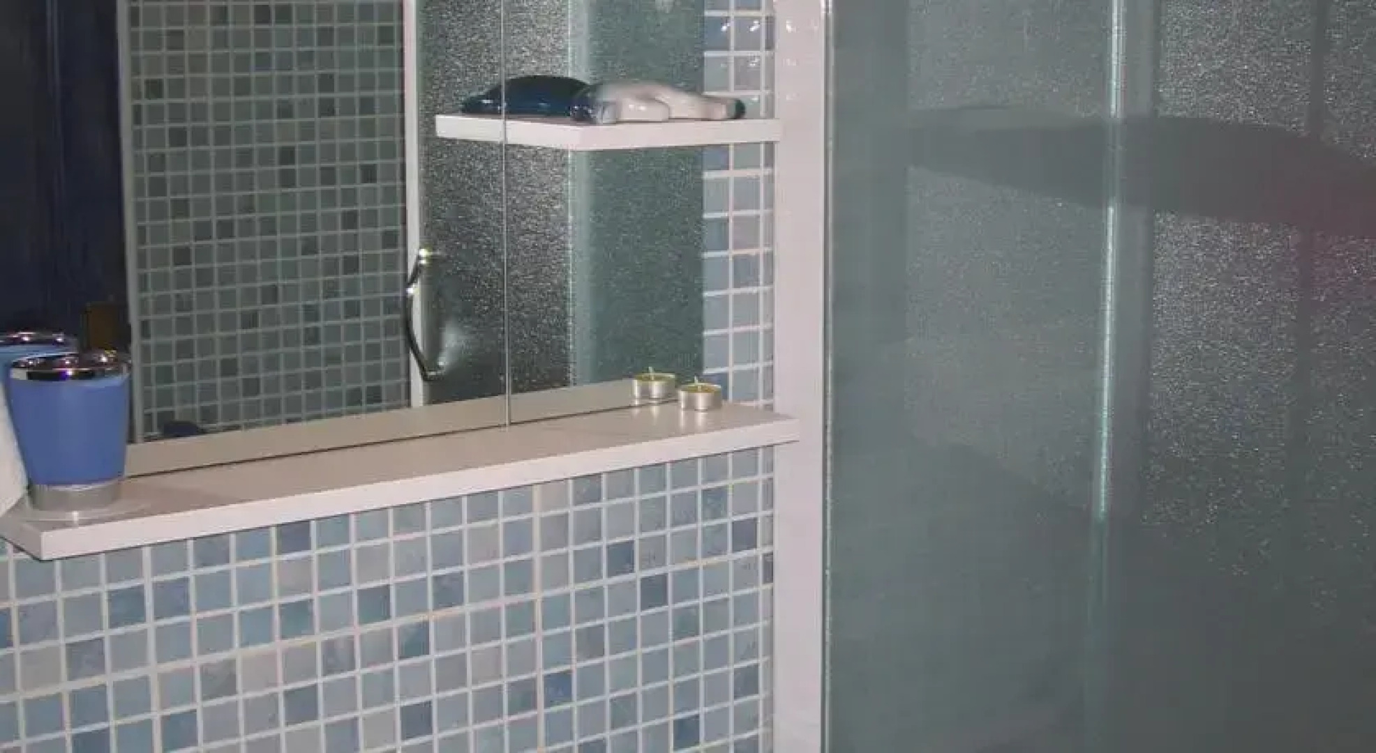 Apartments Bjelolasica