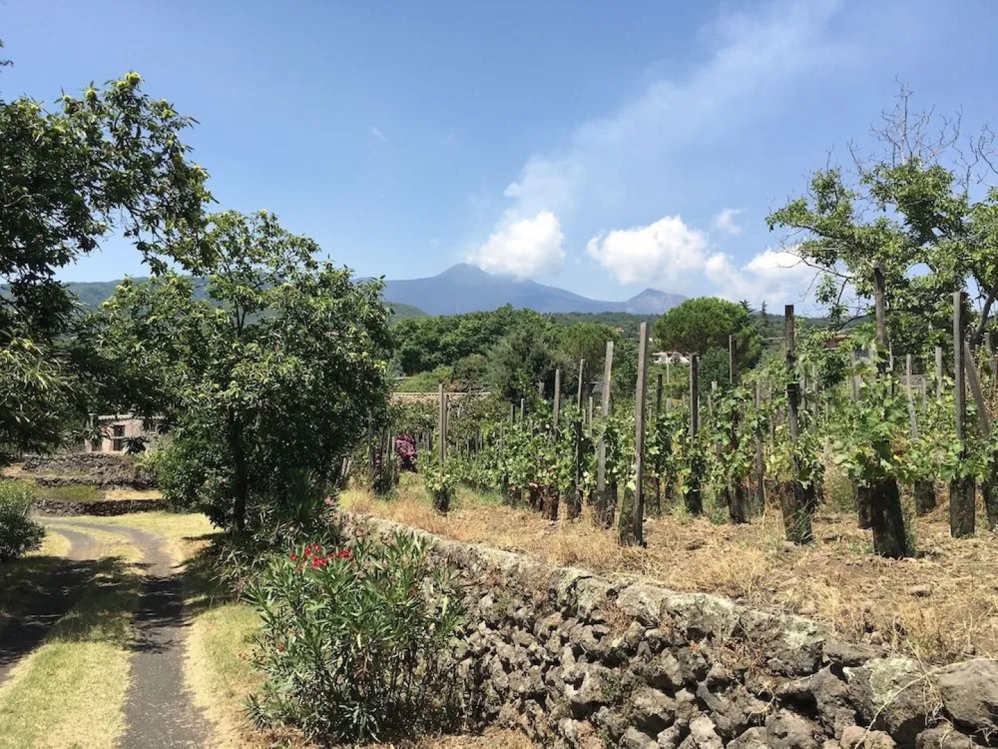 Alberto's Mt. Etna B&B