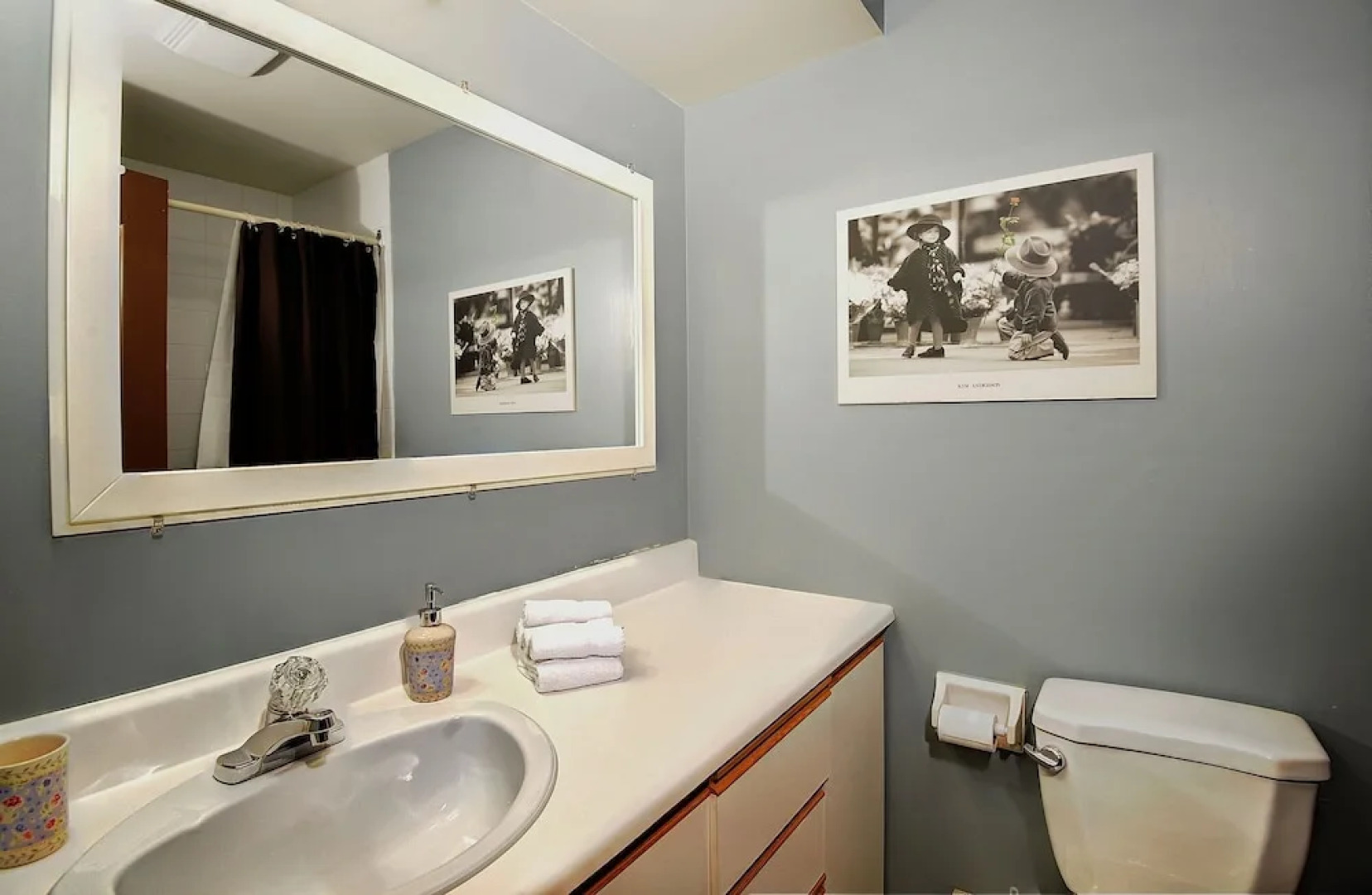 Les Chalets Alpins - Chemin Adirondack