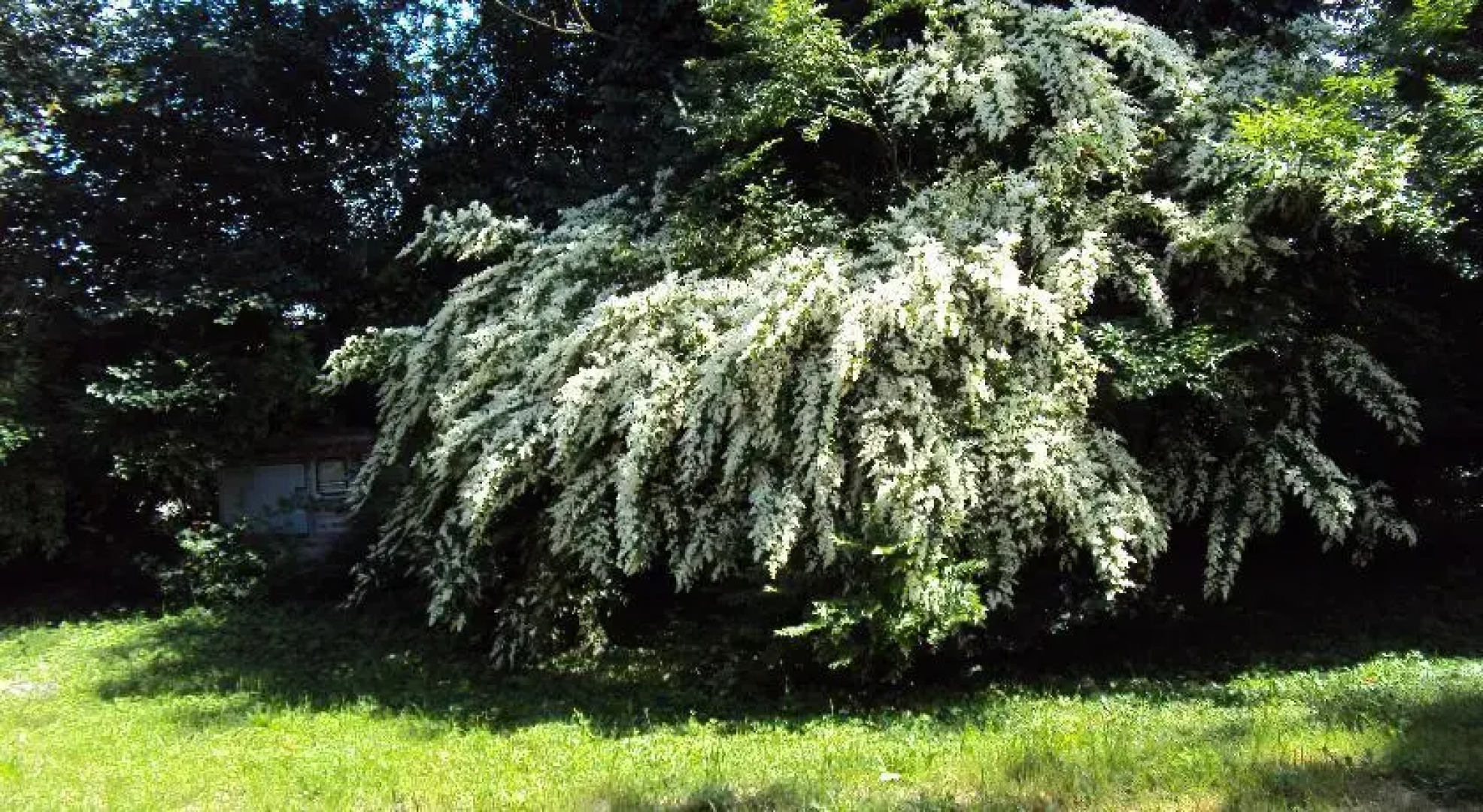 Agriturismo San Marco