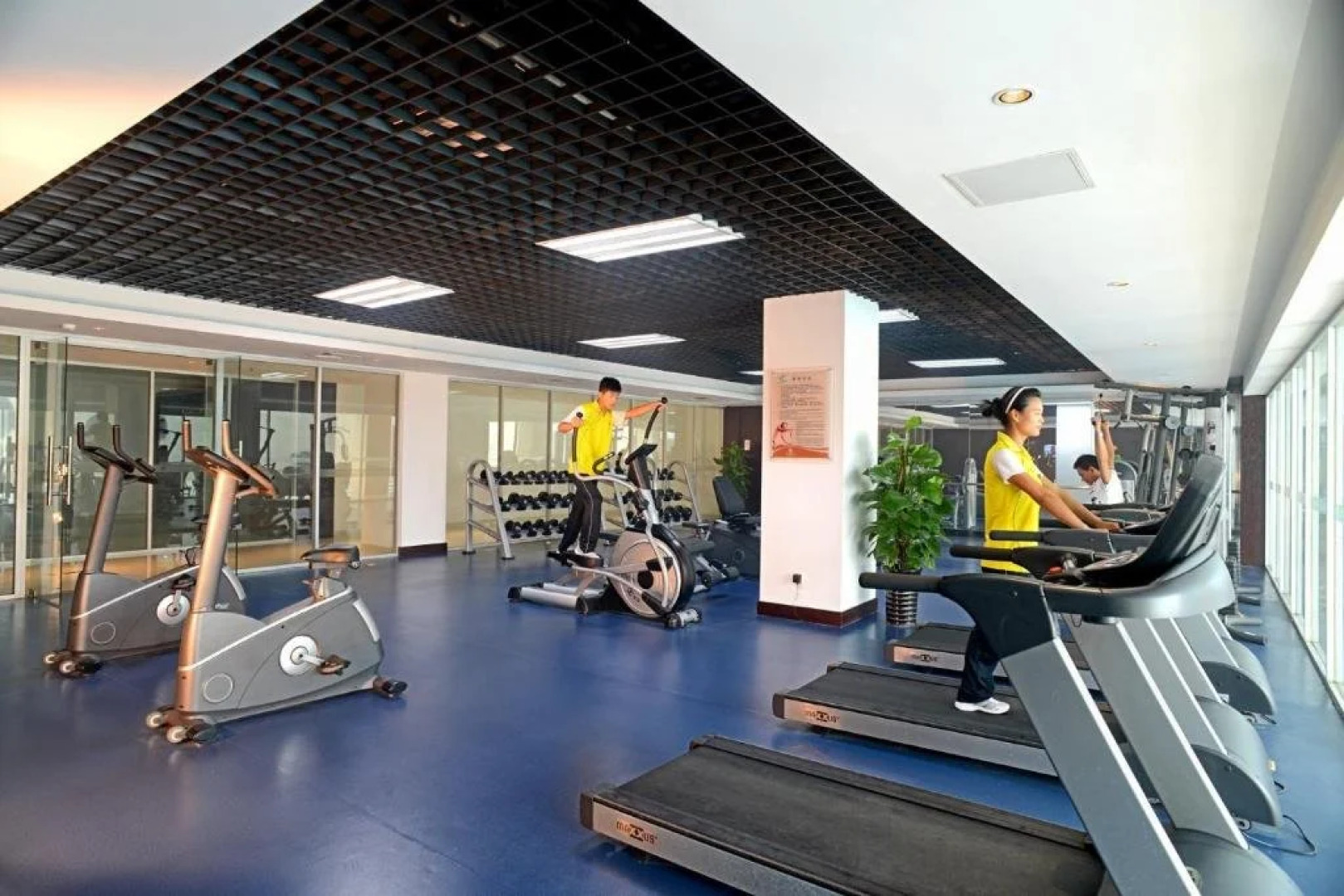 Star International Hotel