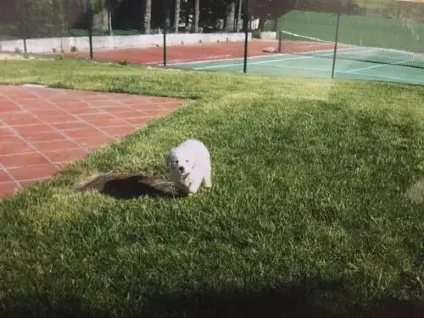 Hotel AV Apartamentos Lobios