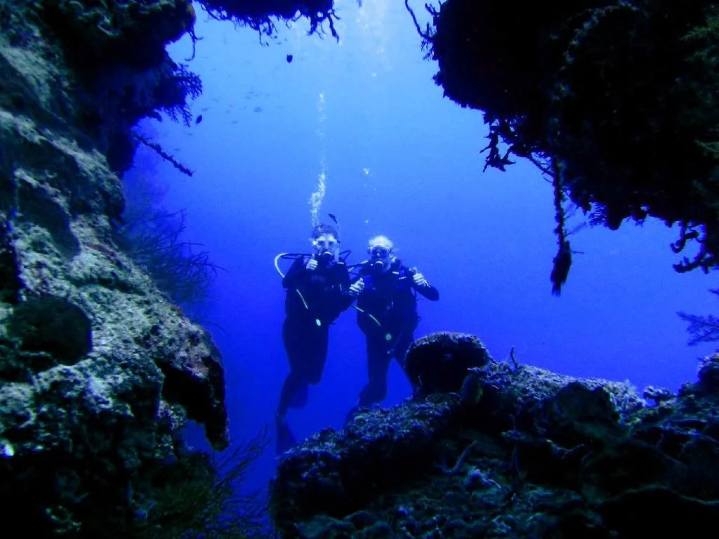 Bananaleaf Hostel Bali