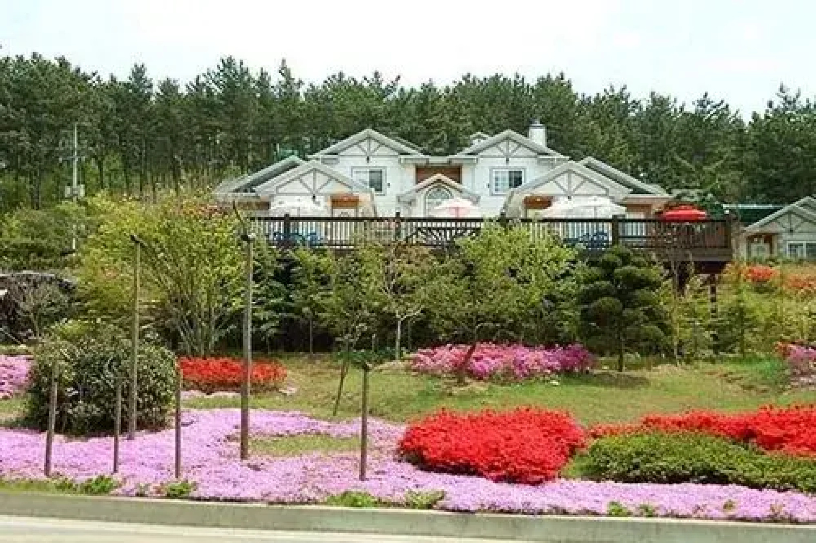 Taeangolden Coast Pension
