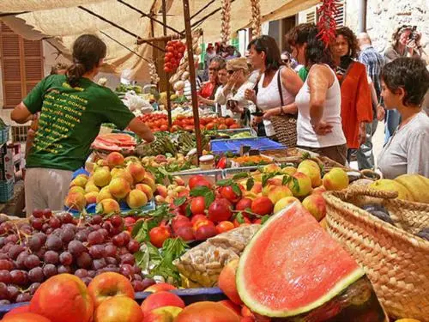 House Sant VicenÃ§