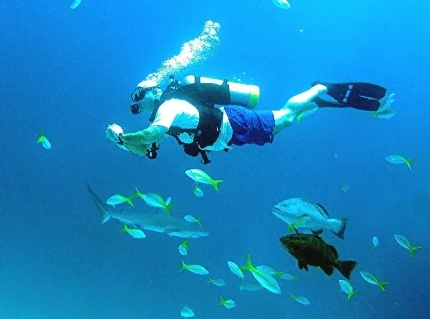 Abaco Towns by the Sea