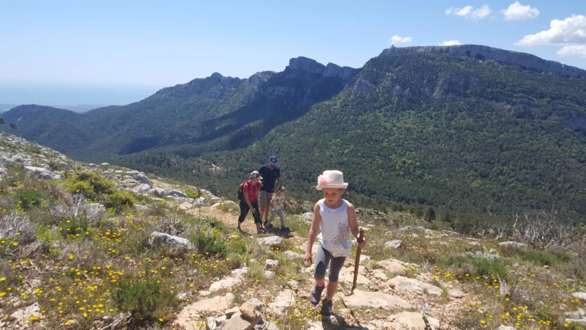 Casa Vella del Pantà de Riudecanyes