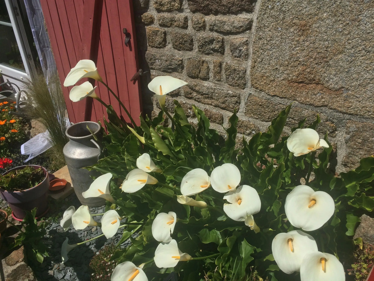 l'Angeviniere, maison d'hotes