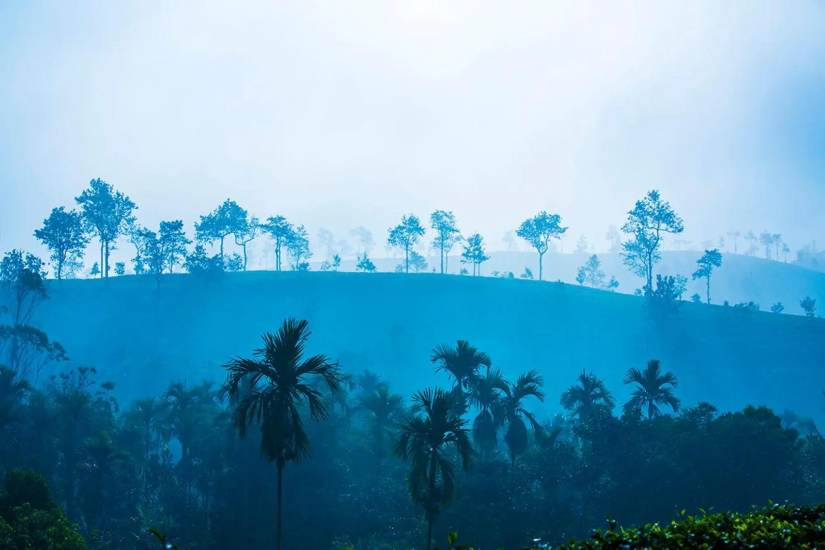 Hotel Nest 'N Mist