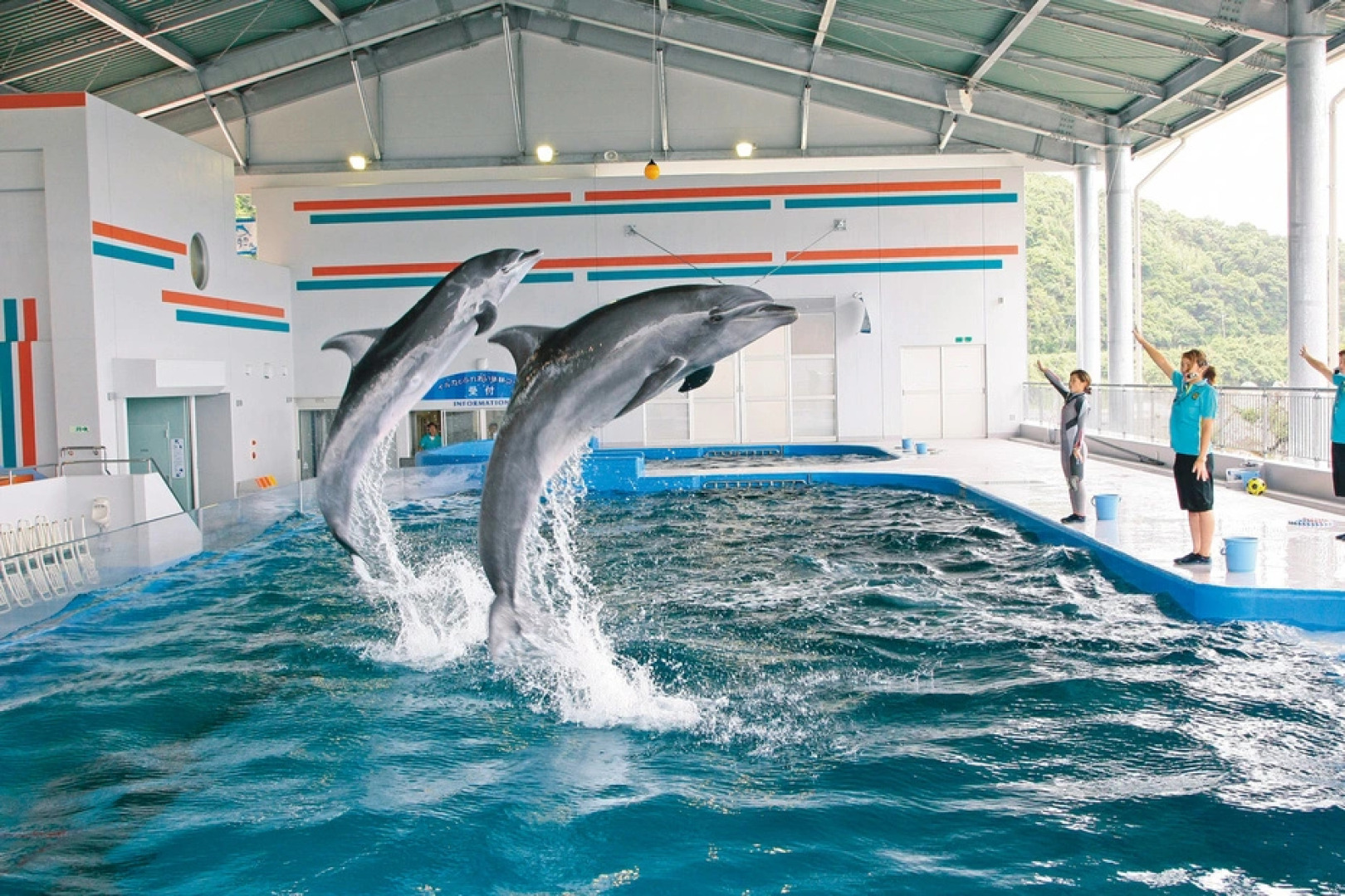 Daikoku Resort Hotel