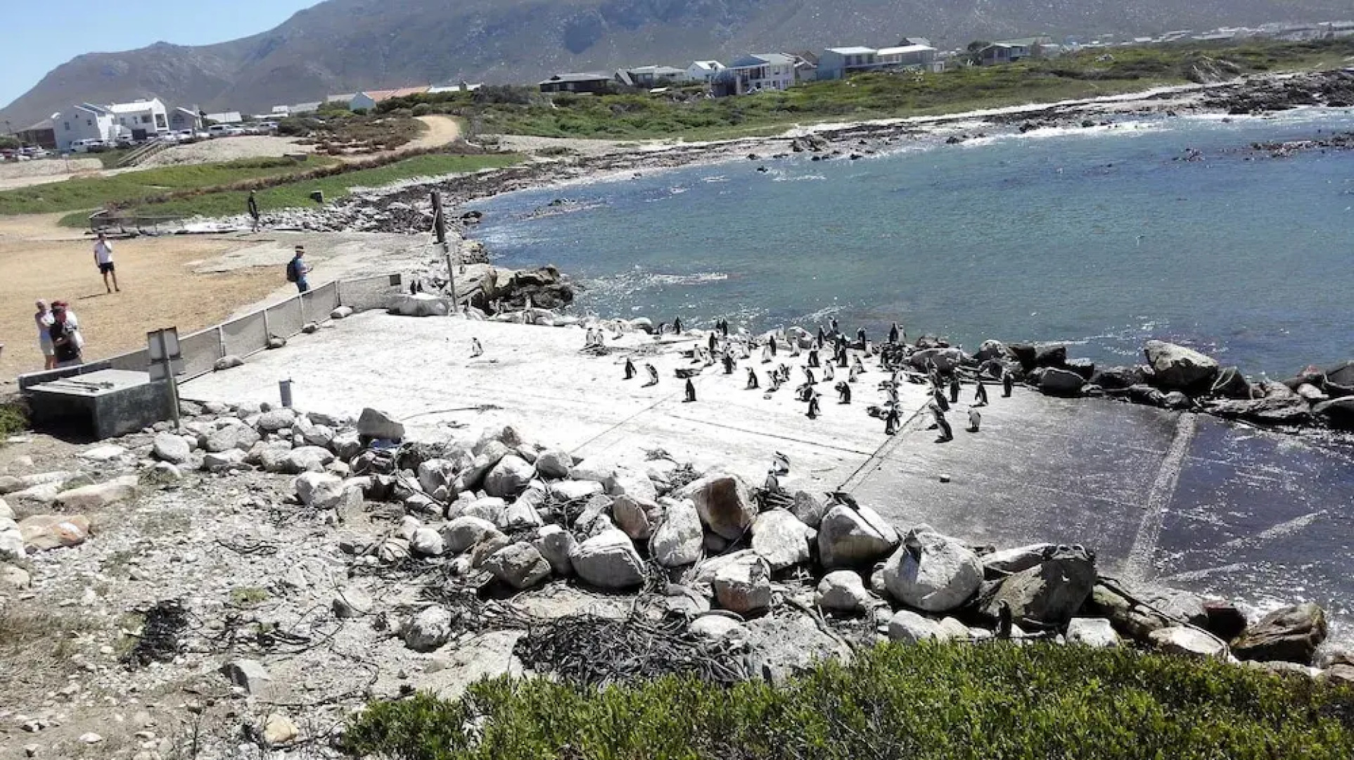 Come an Enjoy Cape Towns Best Kept Secret Kleinmond, 2 Hours From the City