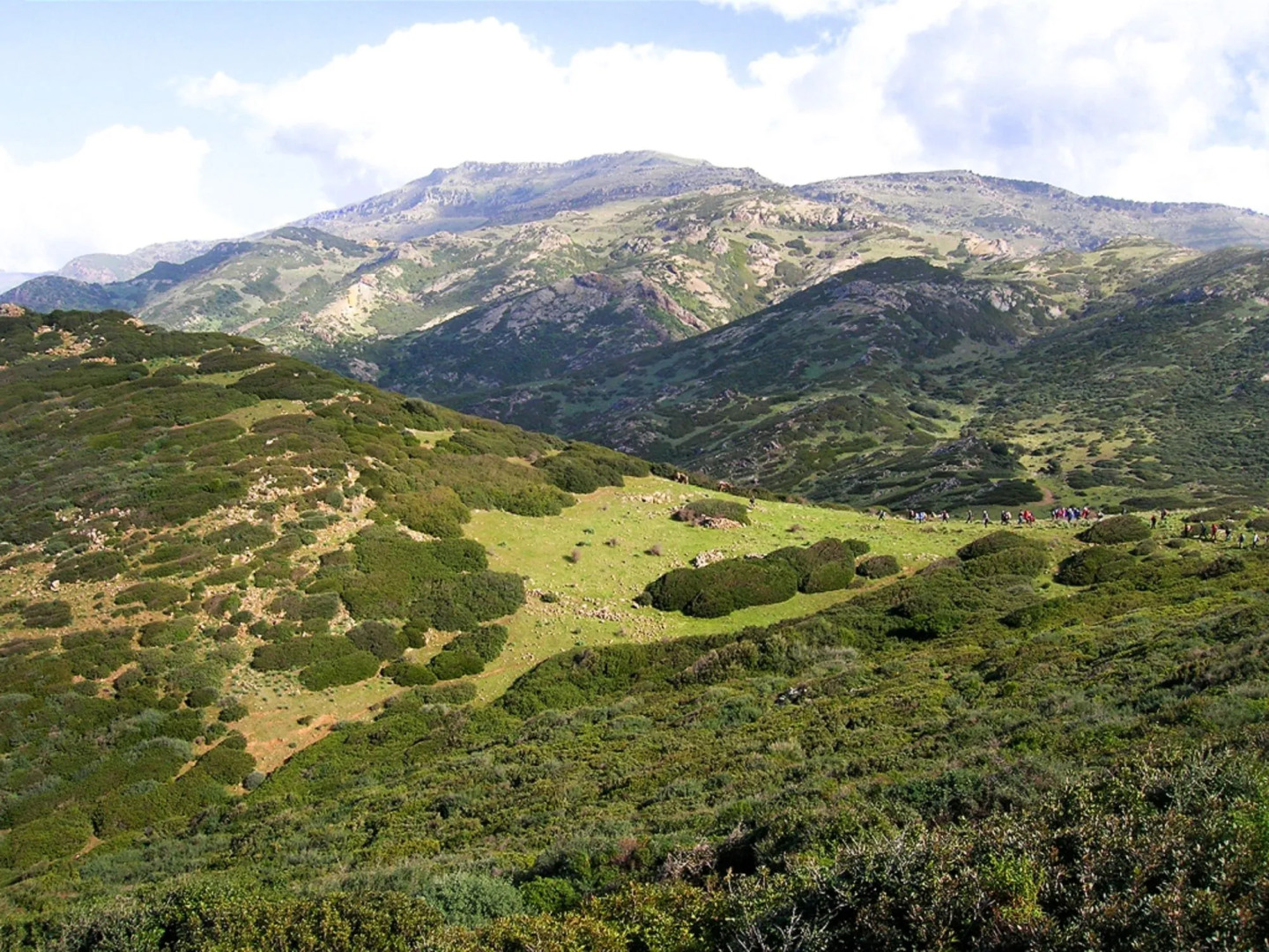 Hotel Palazzo Pischedda