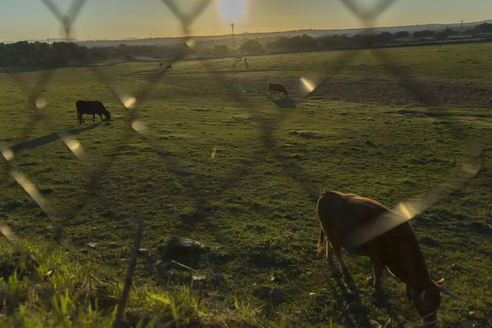 Casa Rural Las Eras de MonfragÃ¼e