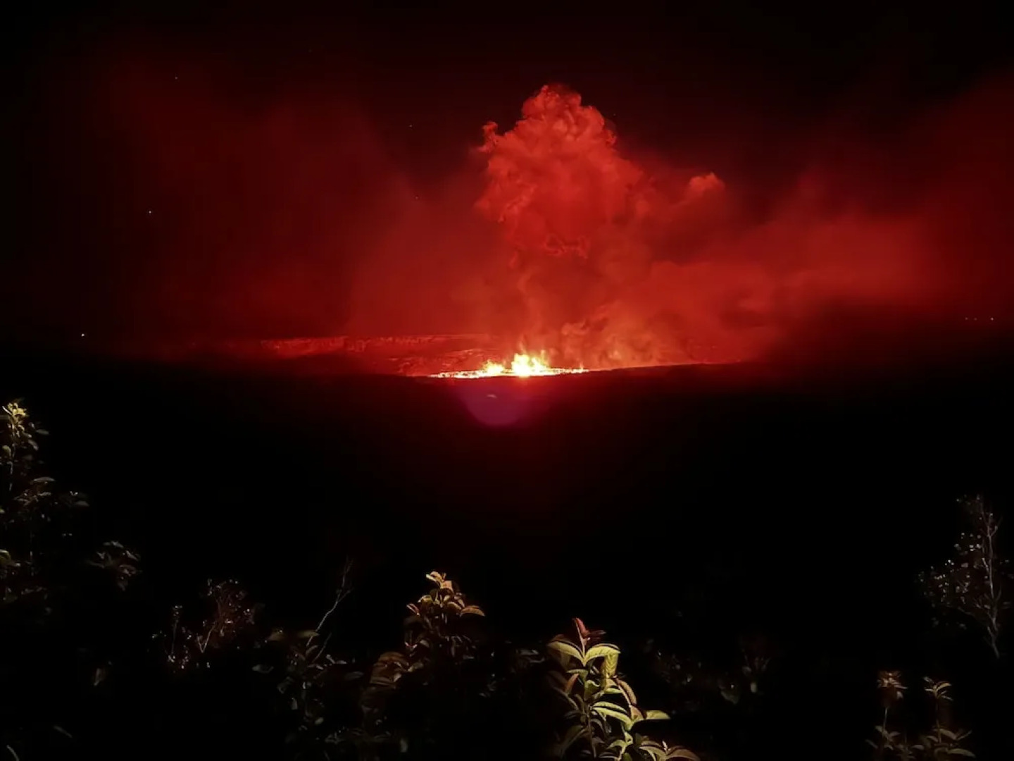 Wild Ginger Inn Hotel & Hostel