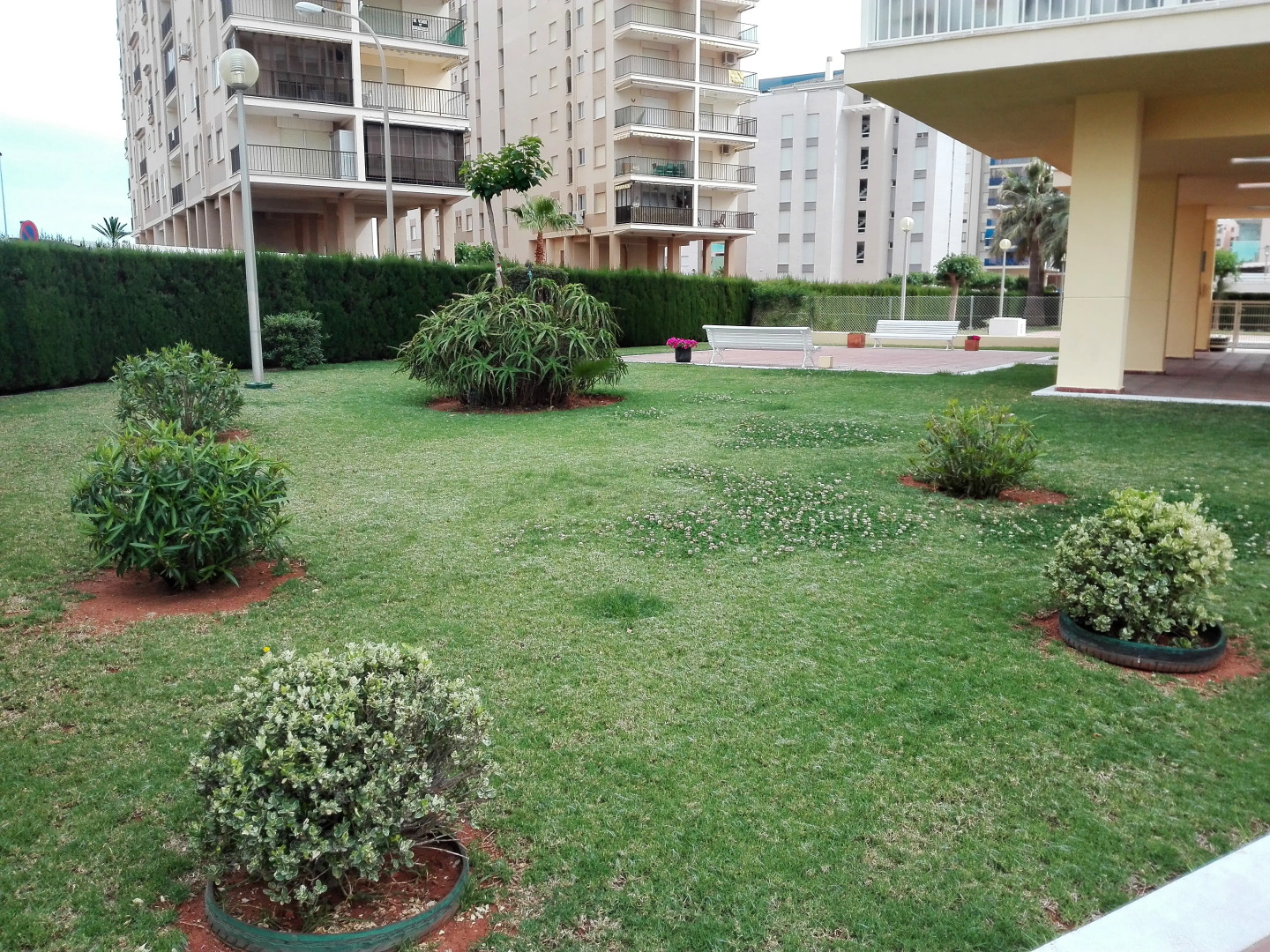 Apartamentos Benicasim 3000