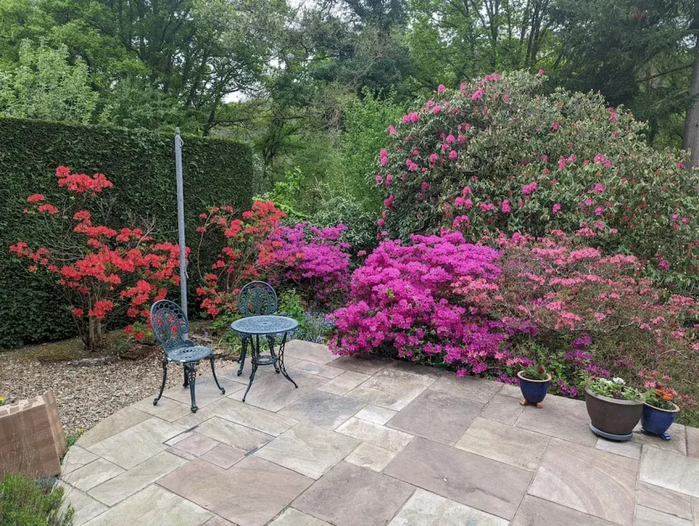 5Bd House In The Forest