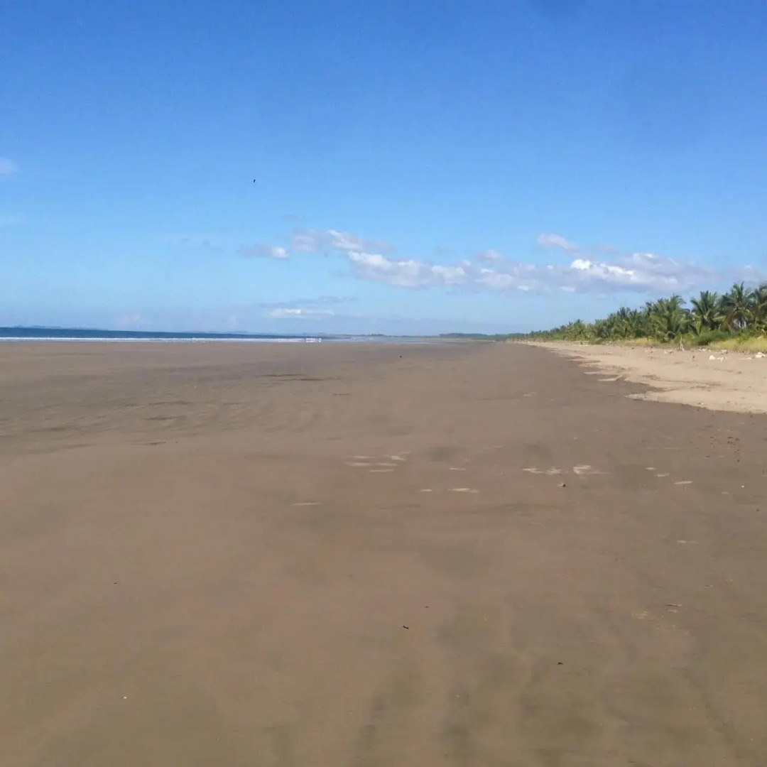 Show Pony Beach Resort and Suites