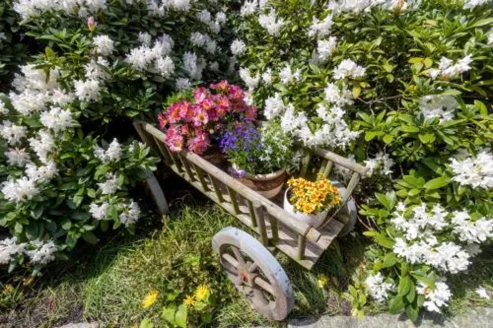 Apartamenty pod Kotwicą