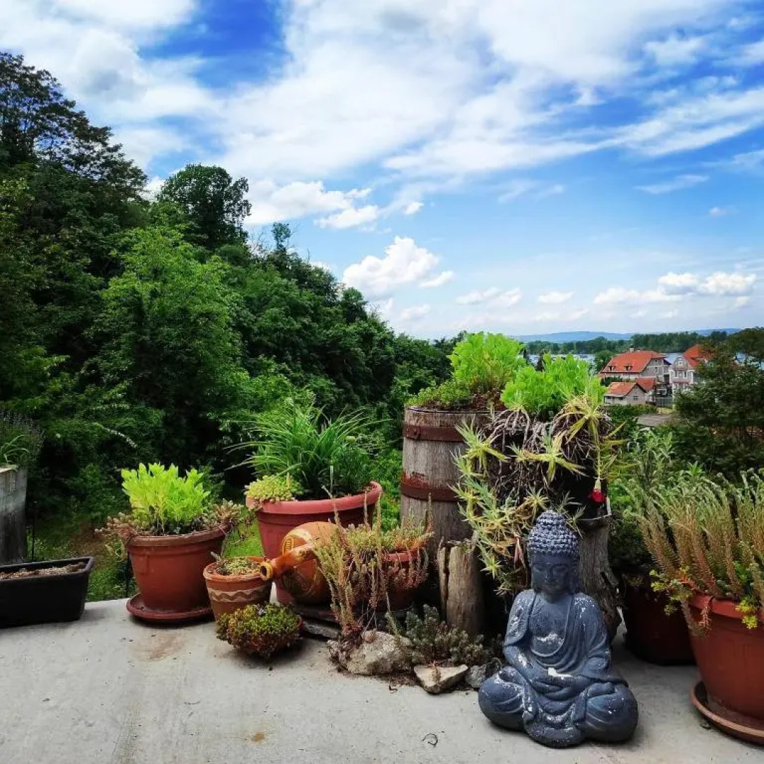 HostelChe Guest House