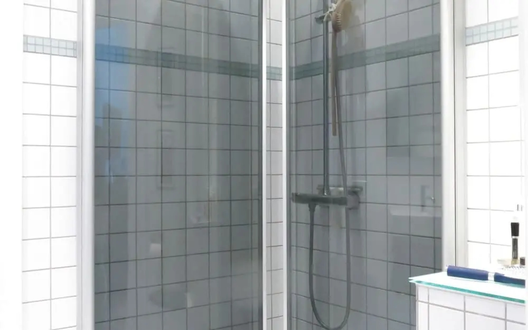 Apartment Frederiksberg and Zoo 220-1