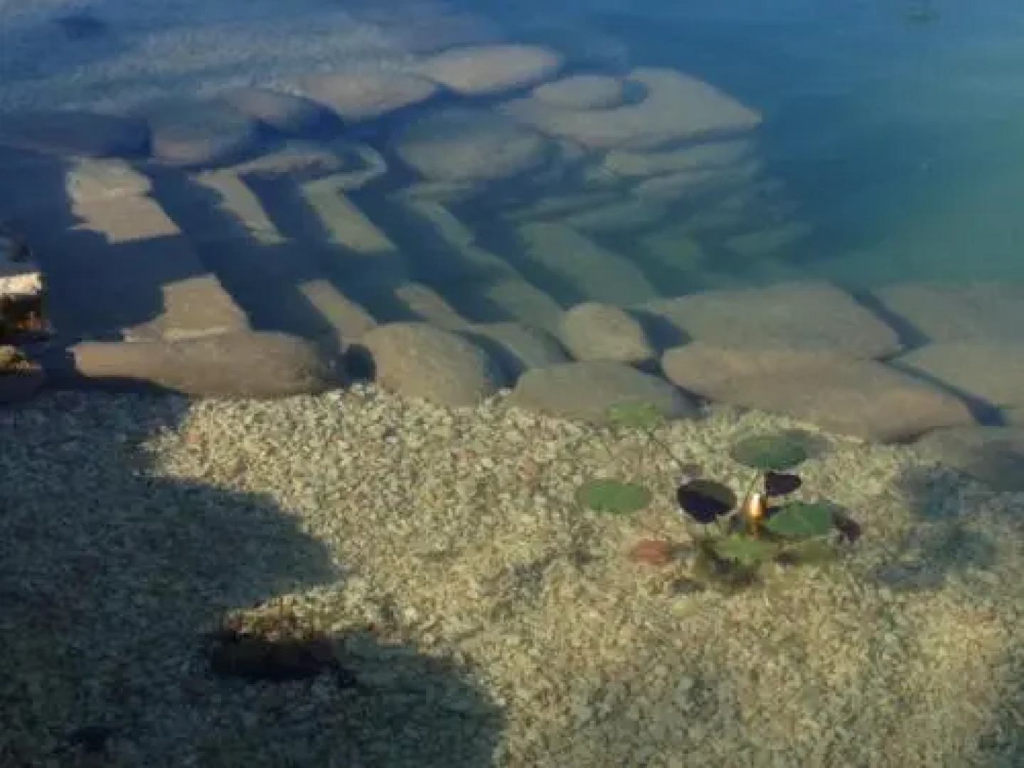 La Ciminiera 1846 Country House