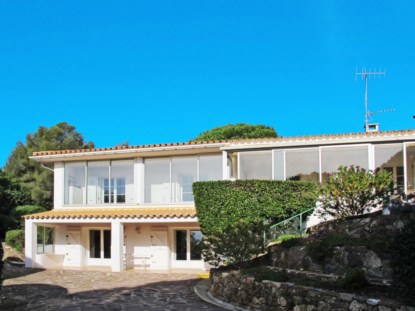 Pigeon Vole (LIS235)