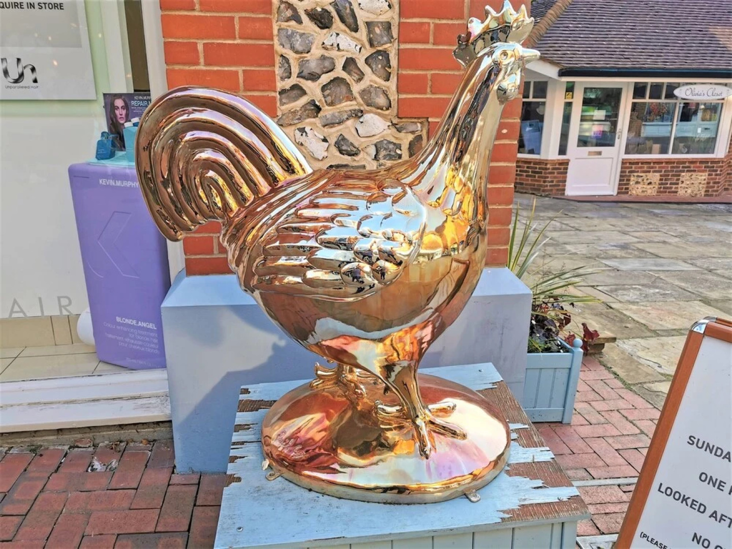 New Apartment Free Electric Car Charging