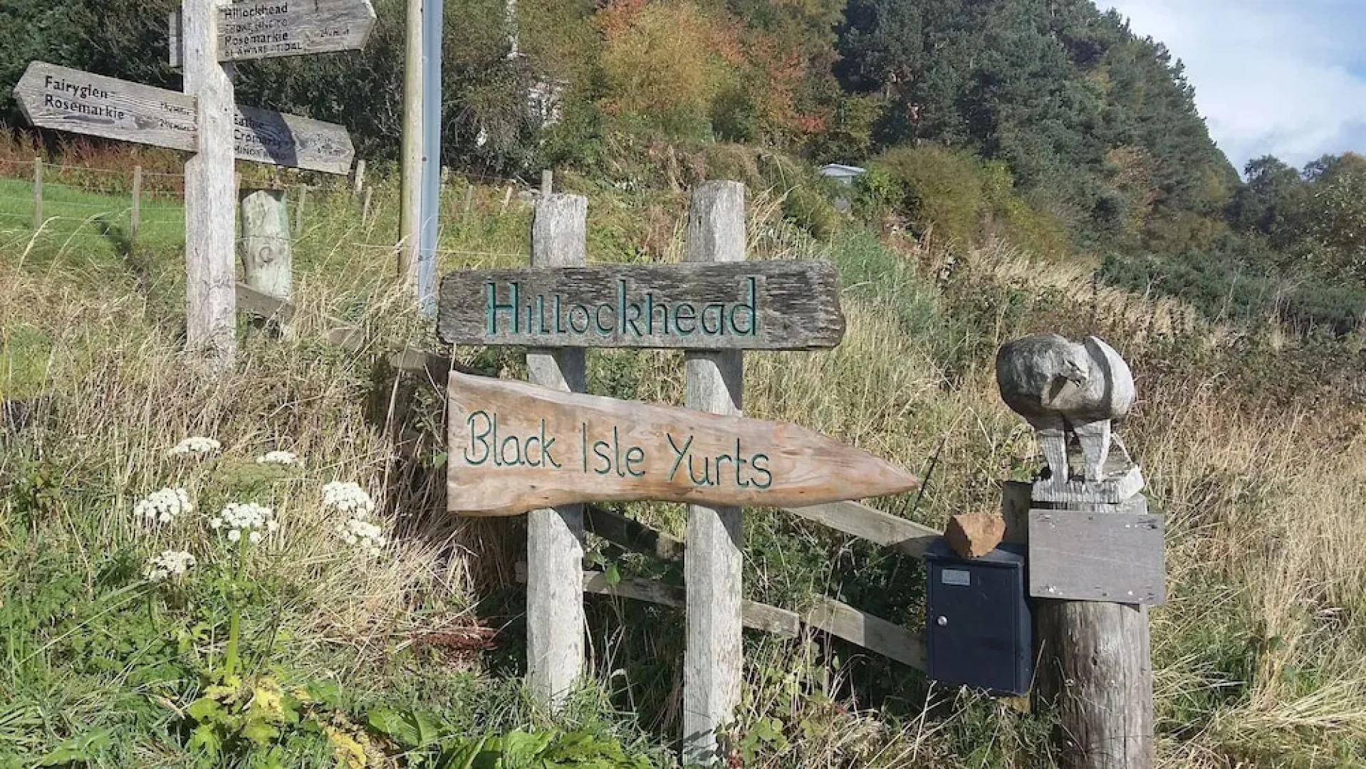 Rowan Yurt - Campsite