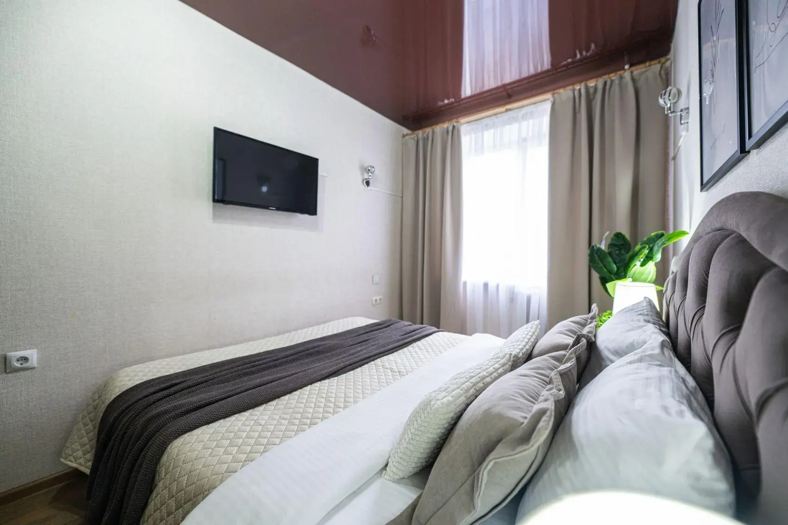 Пять Звезд на улице Сони Кривой 55